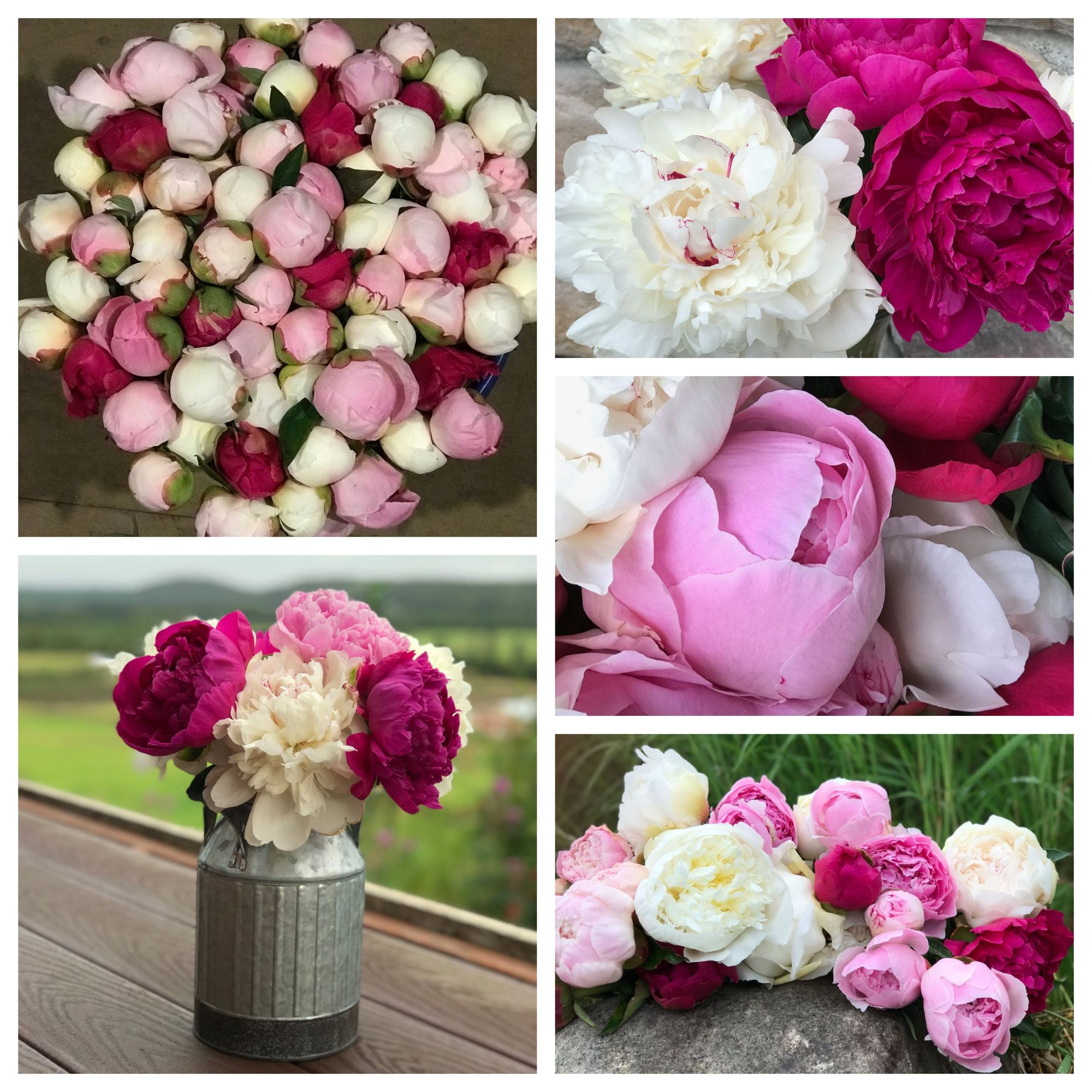 Grocery Bouquets, Premium, 3 stems
