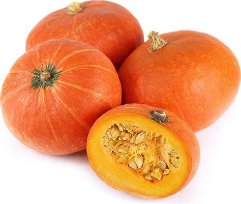 Winter Squash - Kabocha, Orange