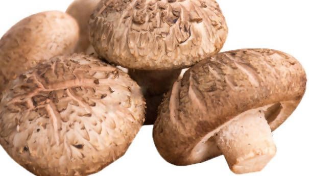 Other: Mushrooms, Shiitake