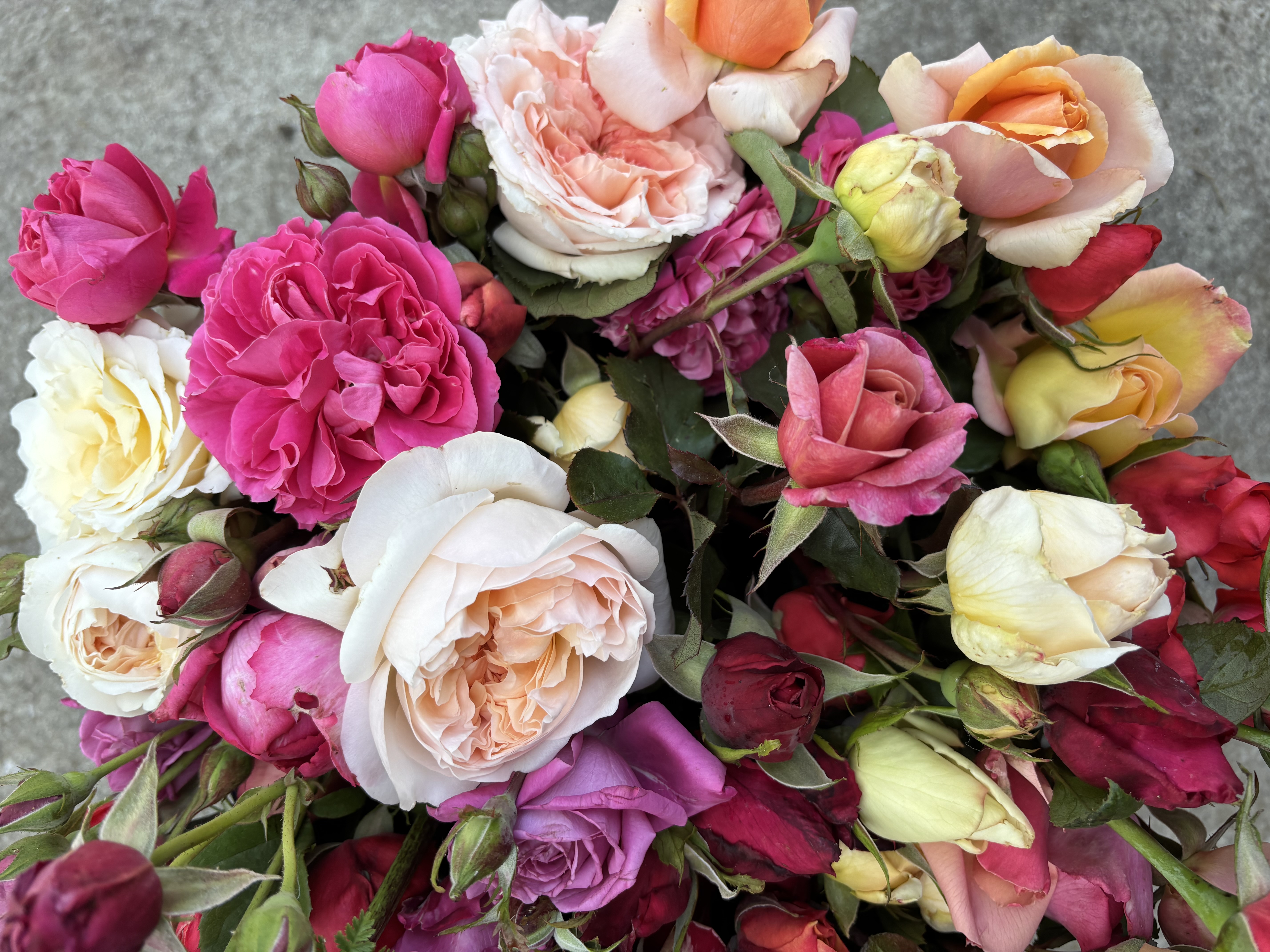 Painted Table Farm Banner