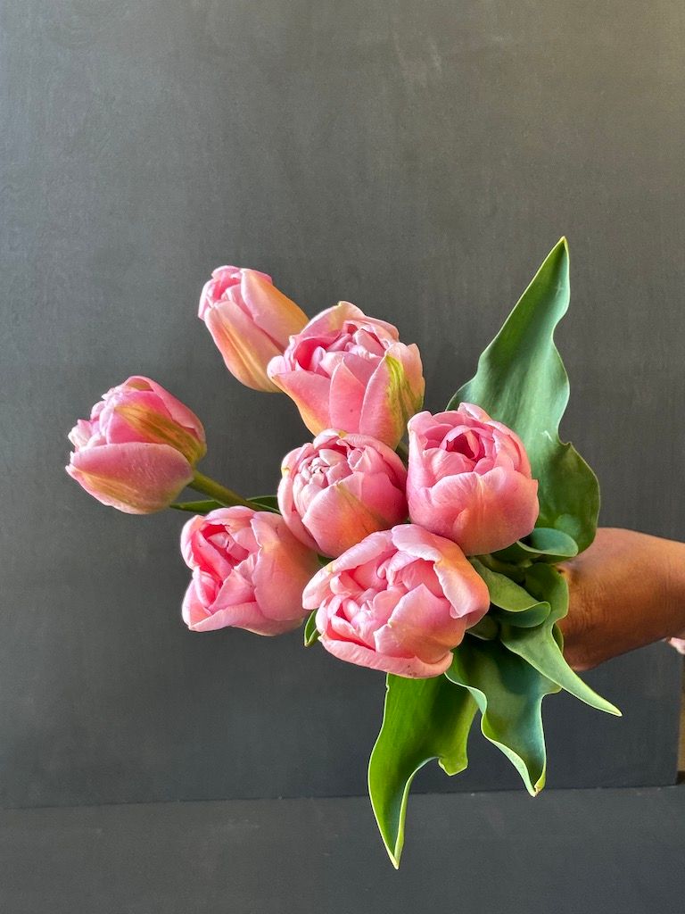 TULIPA Mariage