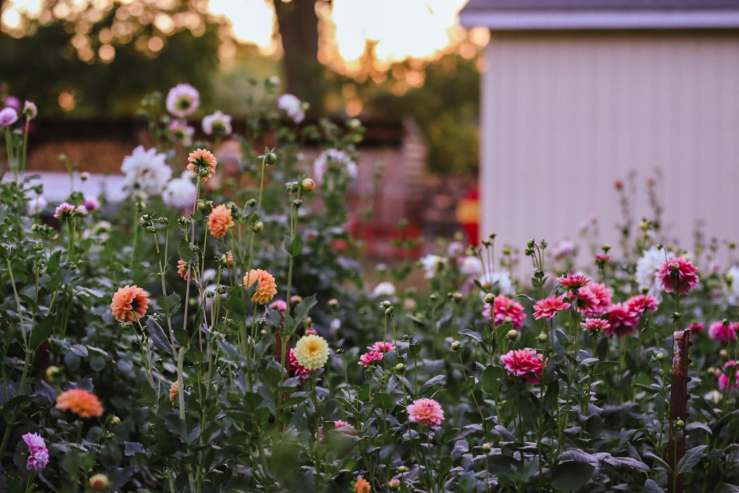 Kairos Flowers LLC Banner