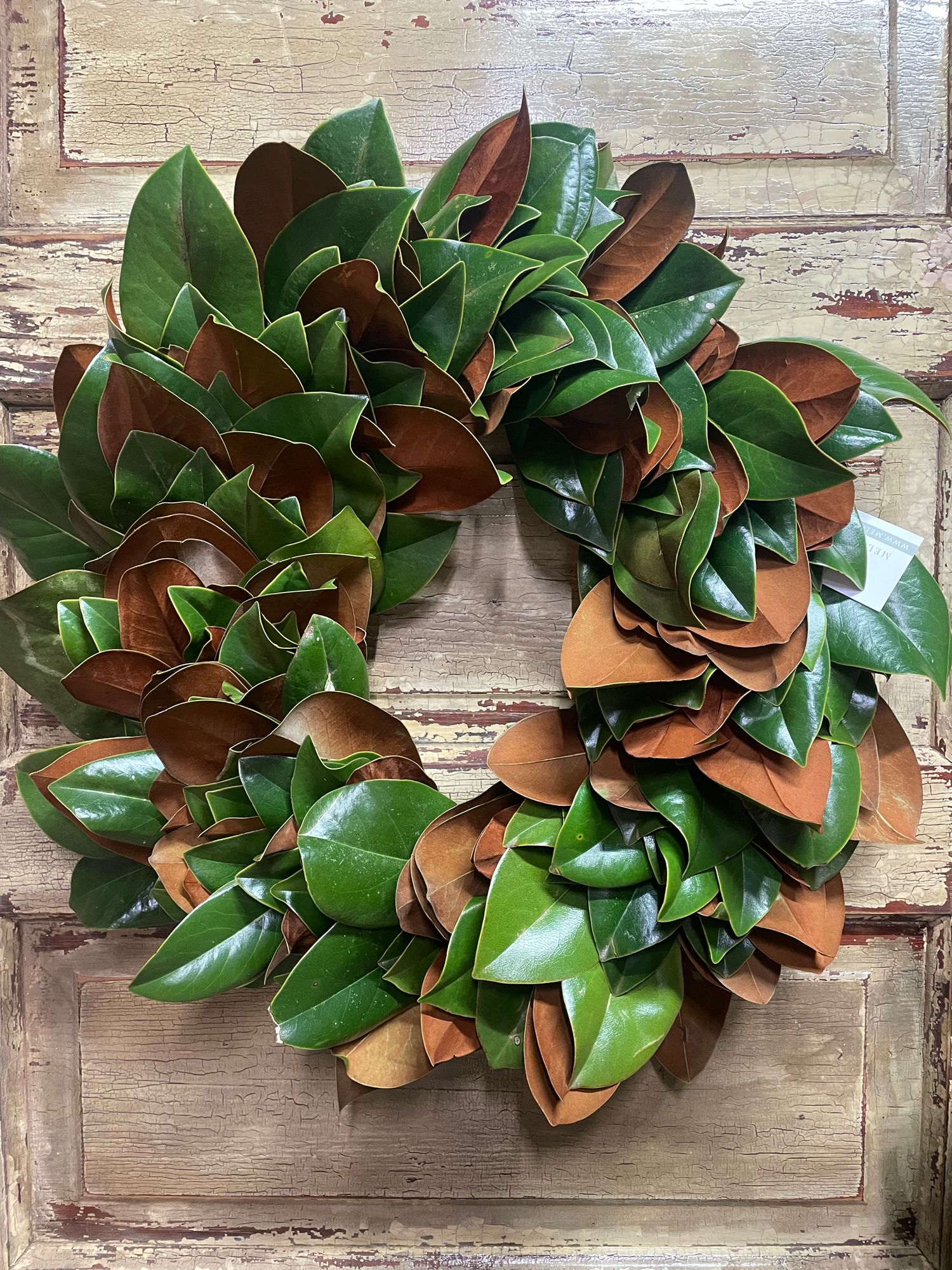 Fresh Magnolia Wreath