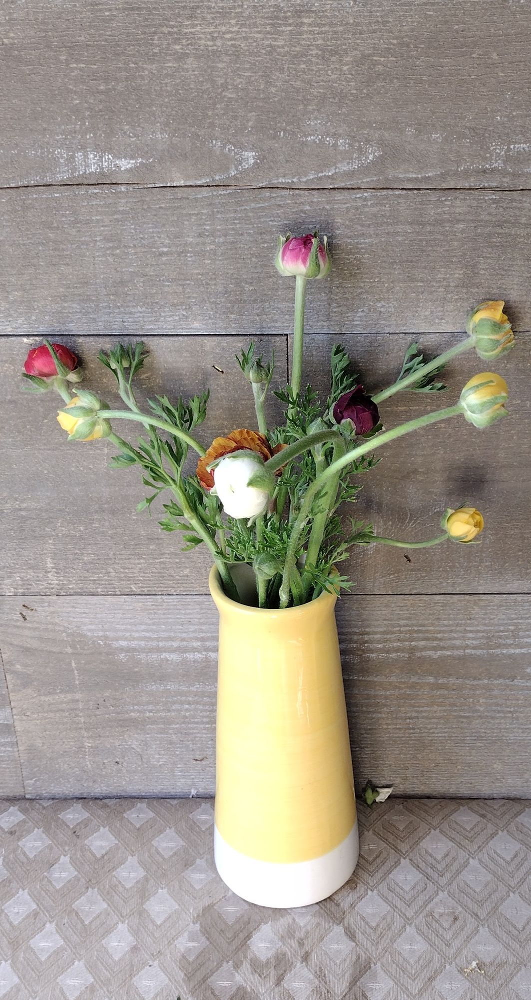 RANUNCULUS Tecolote