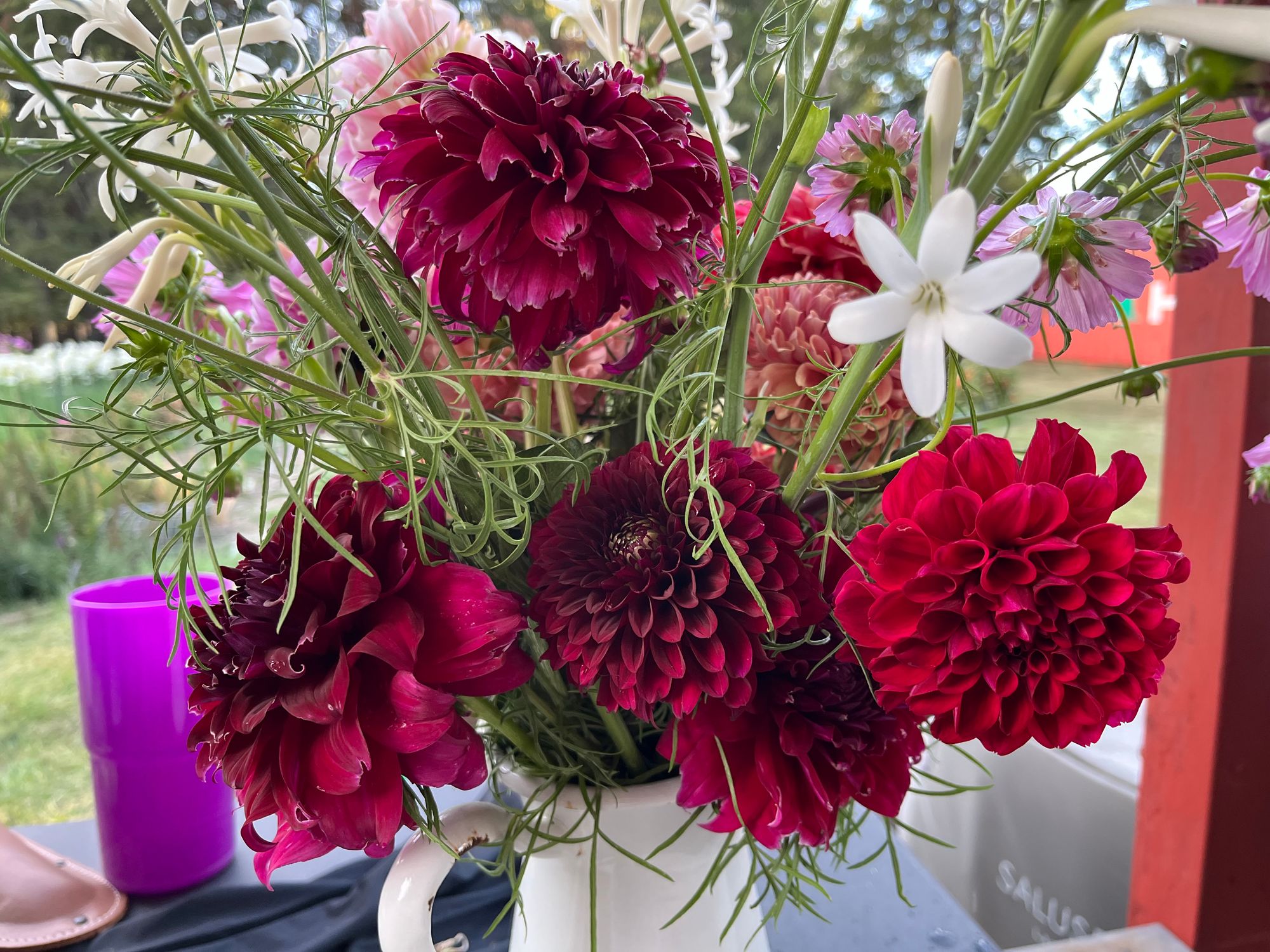 DAHLIA