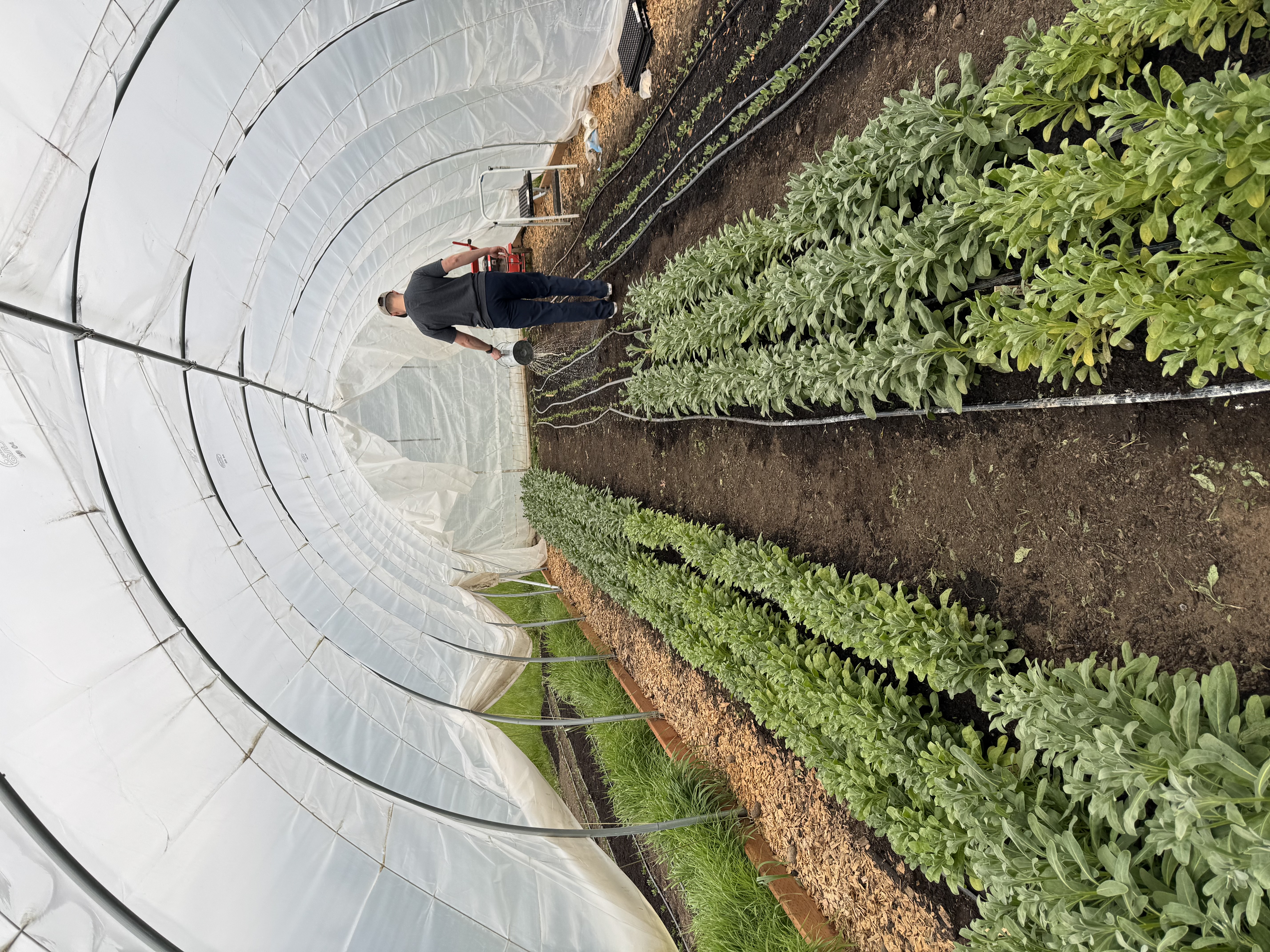 Behr Roots Flower Farm Banner