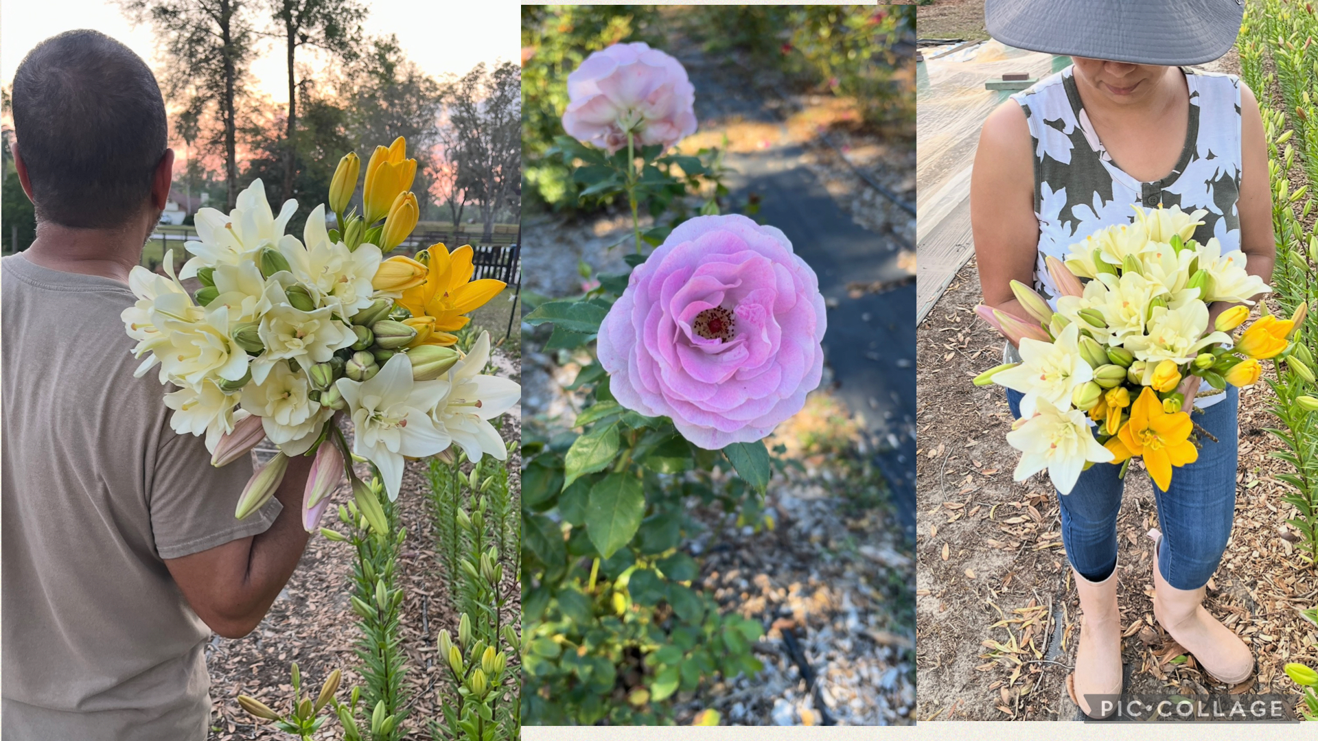 Flower Shower Farm Banner