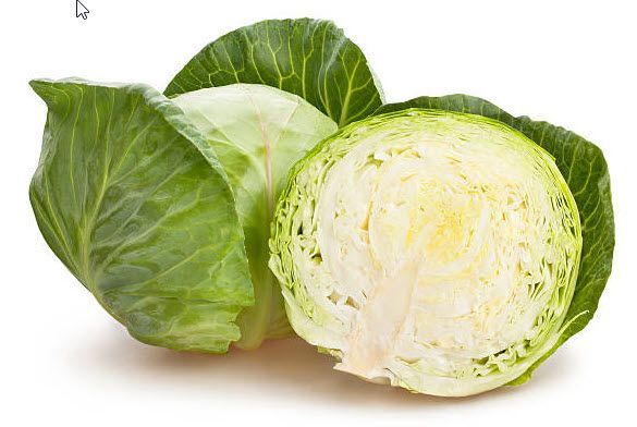 Brassicas: Cabbage, Green Medium