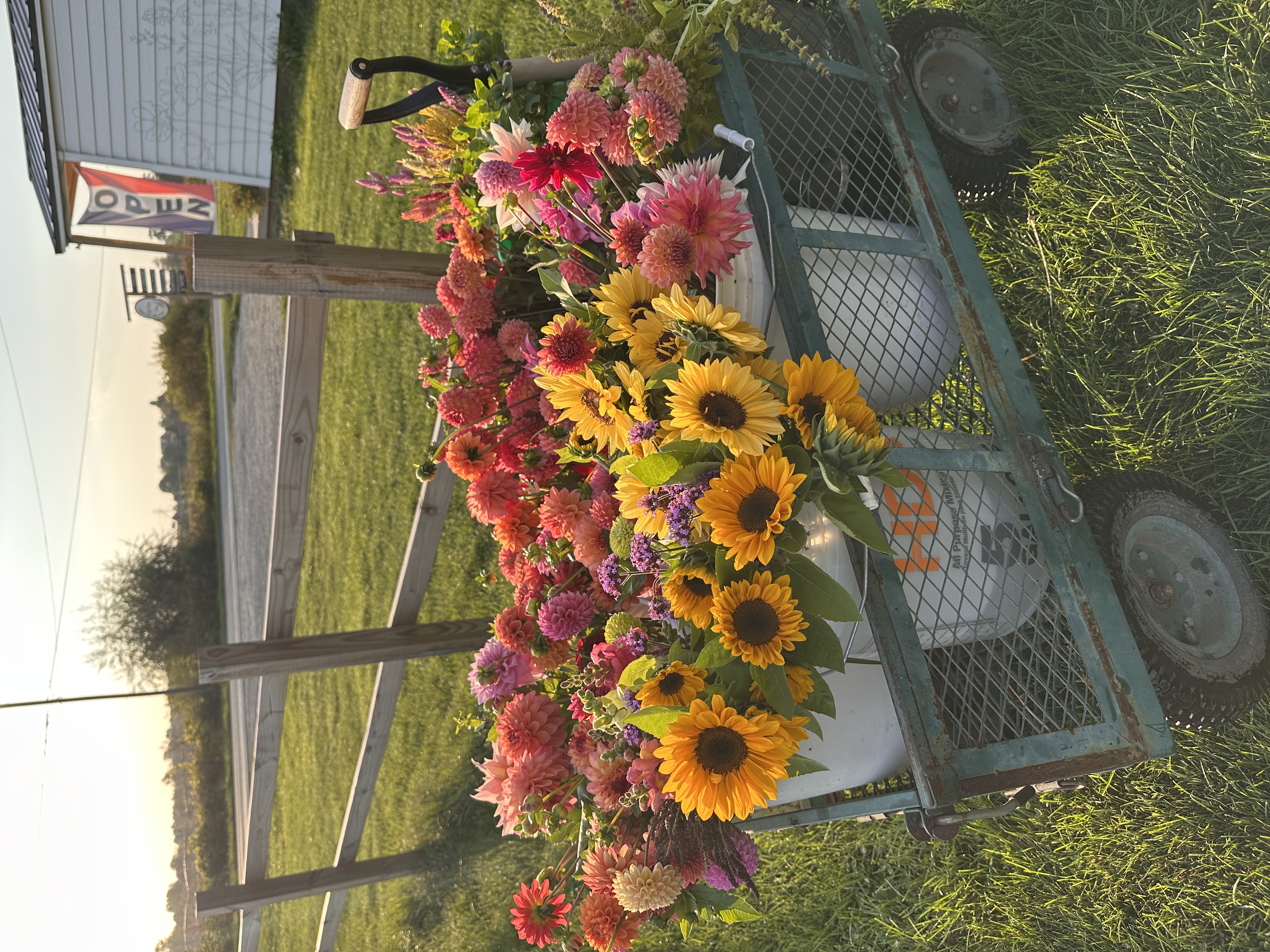 Lily and Sage Farm Banner