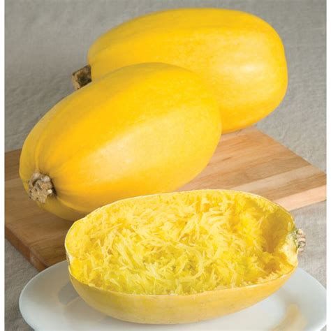 Winter Squash - Spaghetti