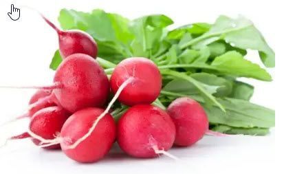 Root Vegetables: Radish, Red