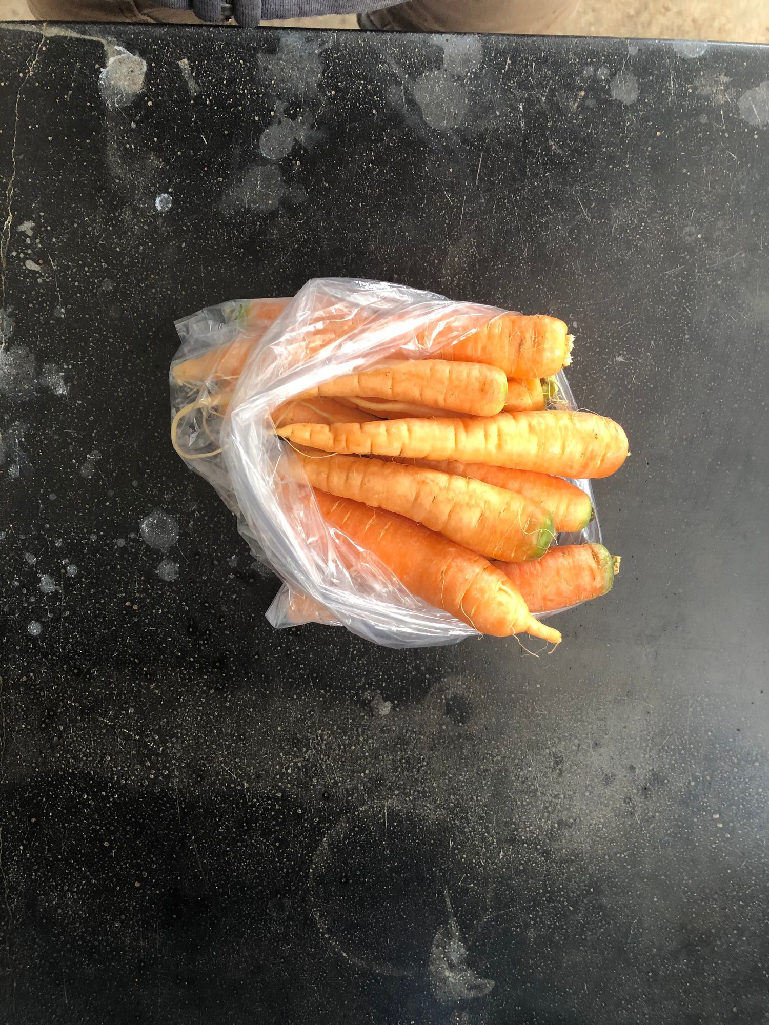 Carrots - topped