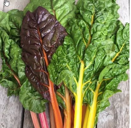 Greens: Chard, Rainbow