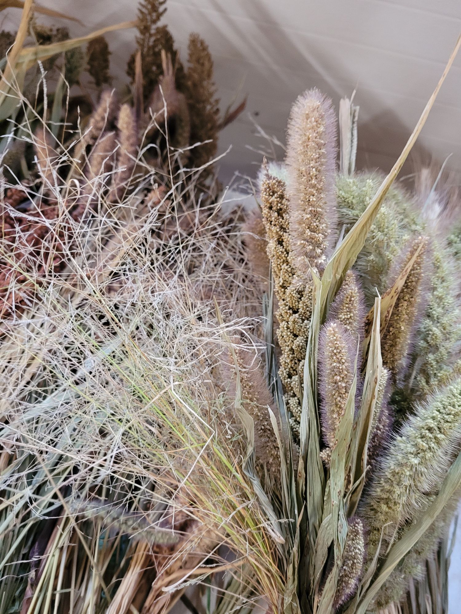 Mixed grasses