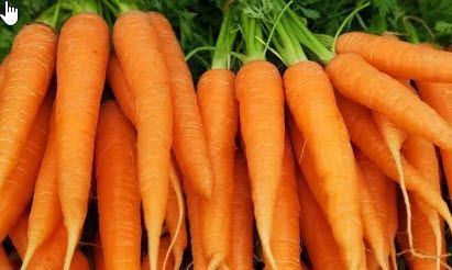 Root Vegetables: Carrots, Orange