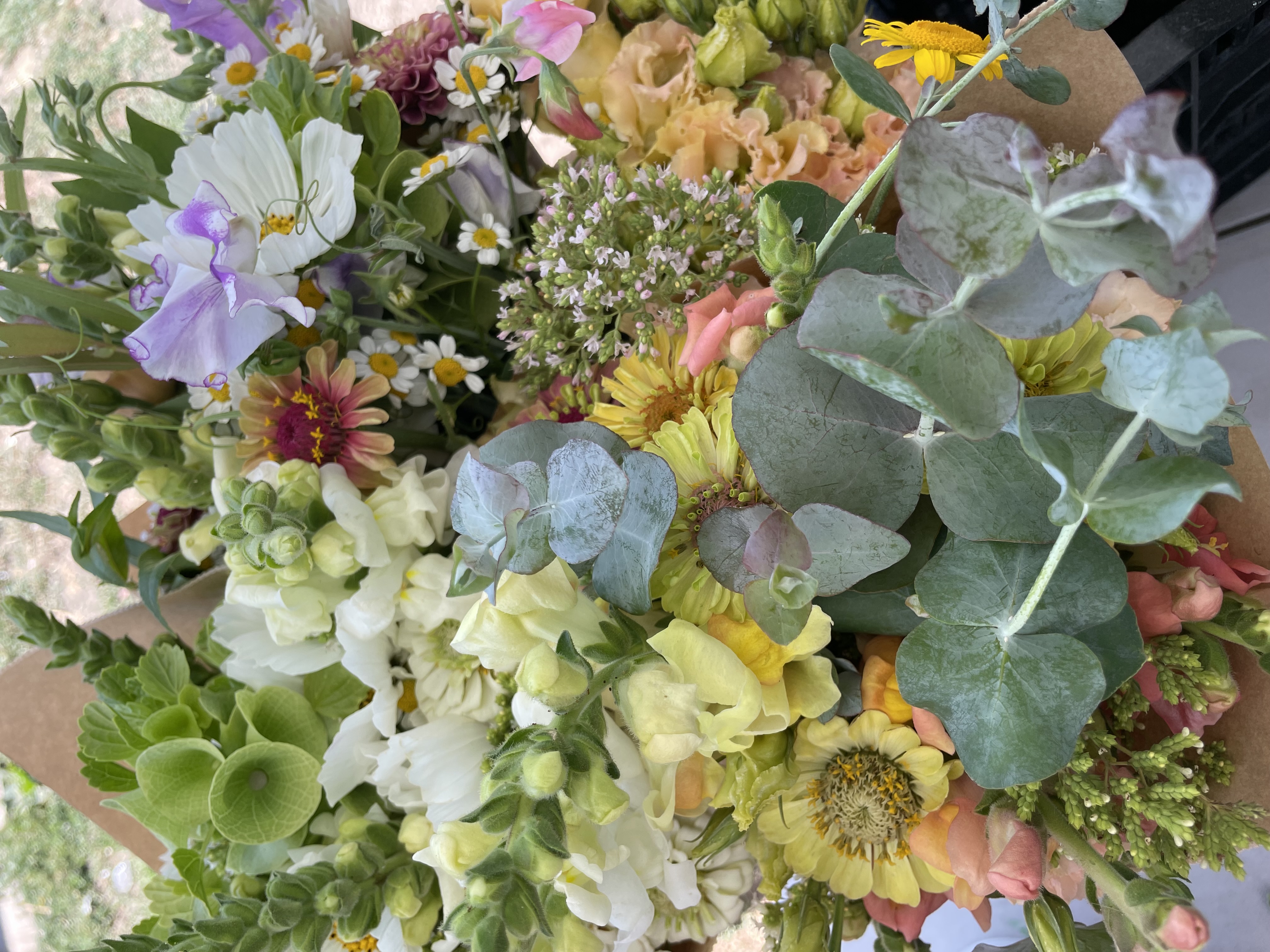 Bitterroot Bouquets and Bodywork Banner