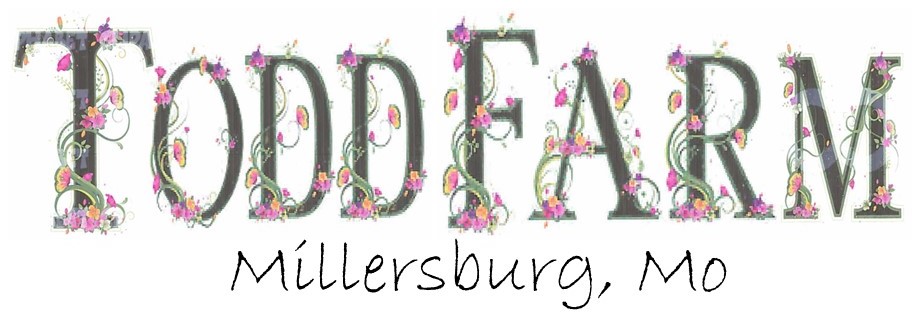 Todd Flower Farm Banner
