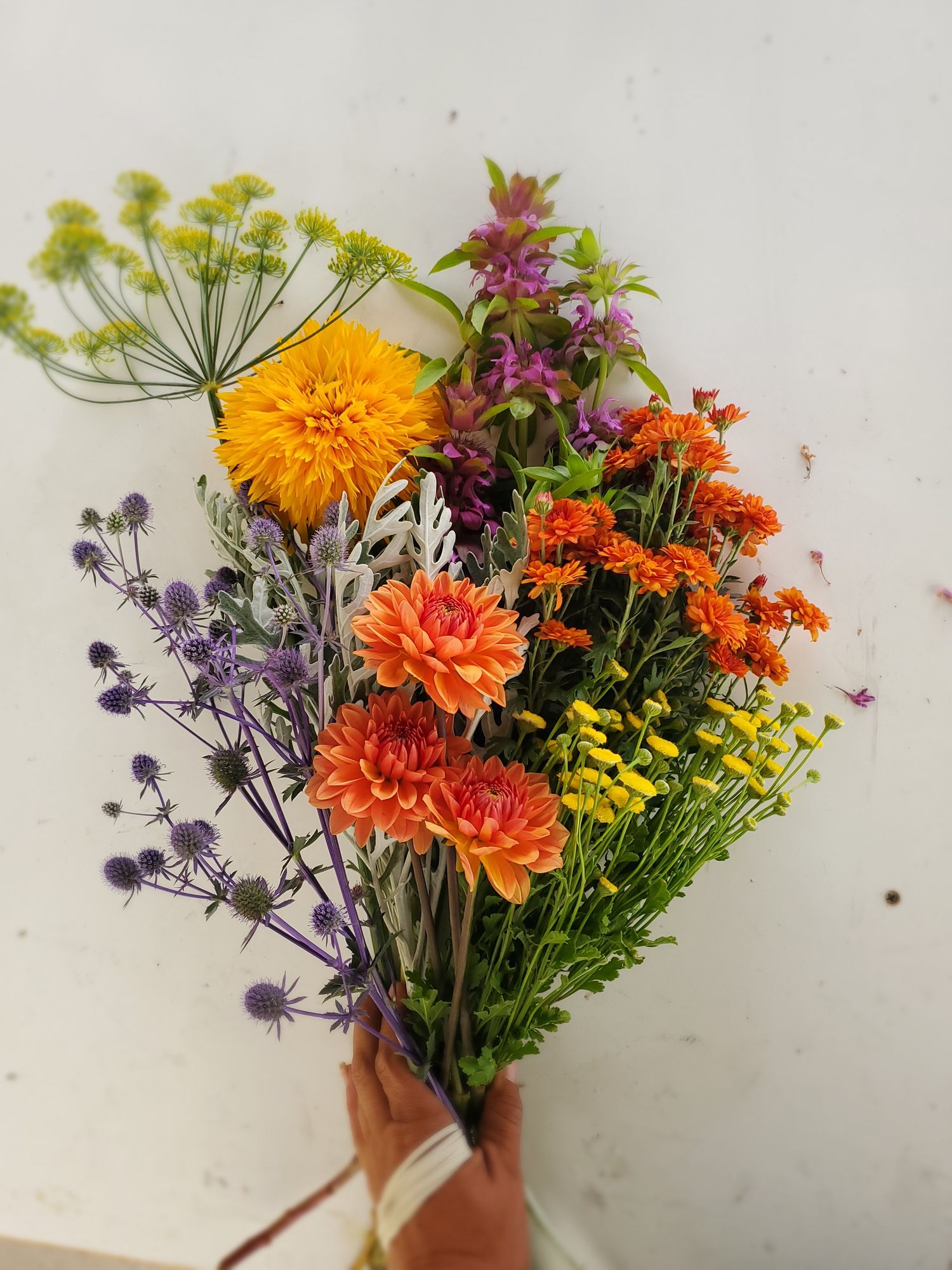 Color Palette Bucket - Bright Growers Choice 50 stem