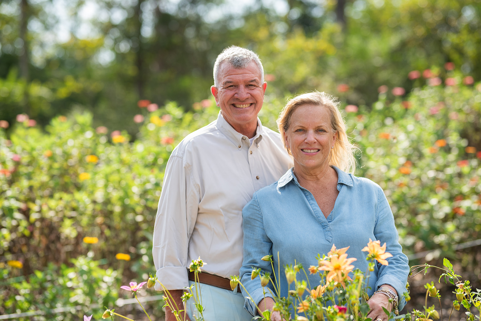 Montpelier Flower Farm Banner