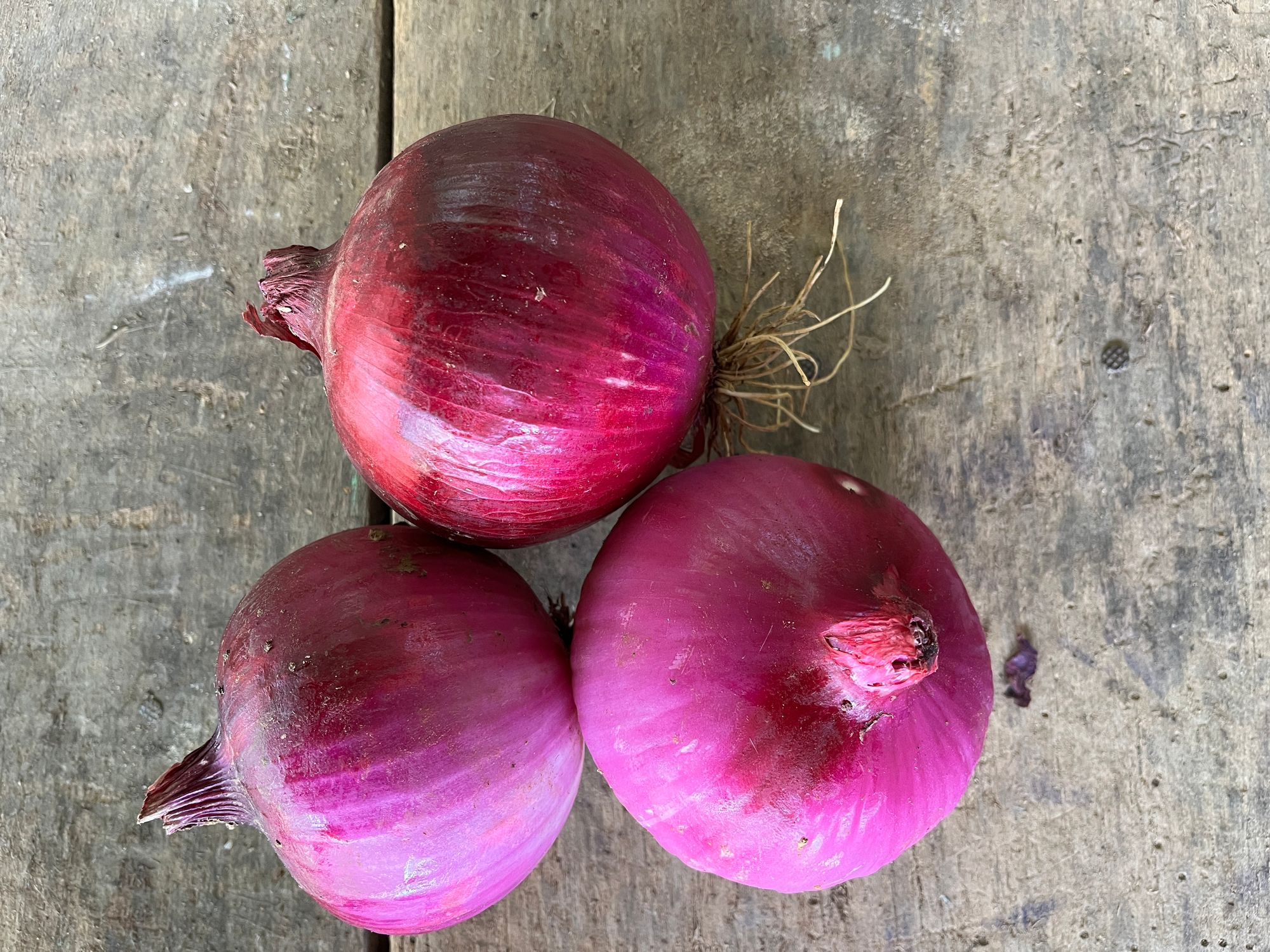 Red Onion, cold stored