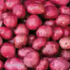 Red Potatoes