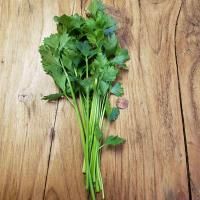 Baby Celery
