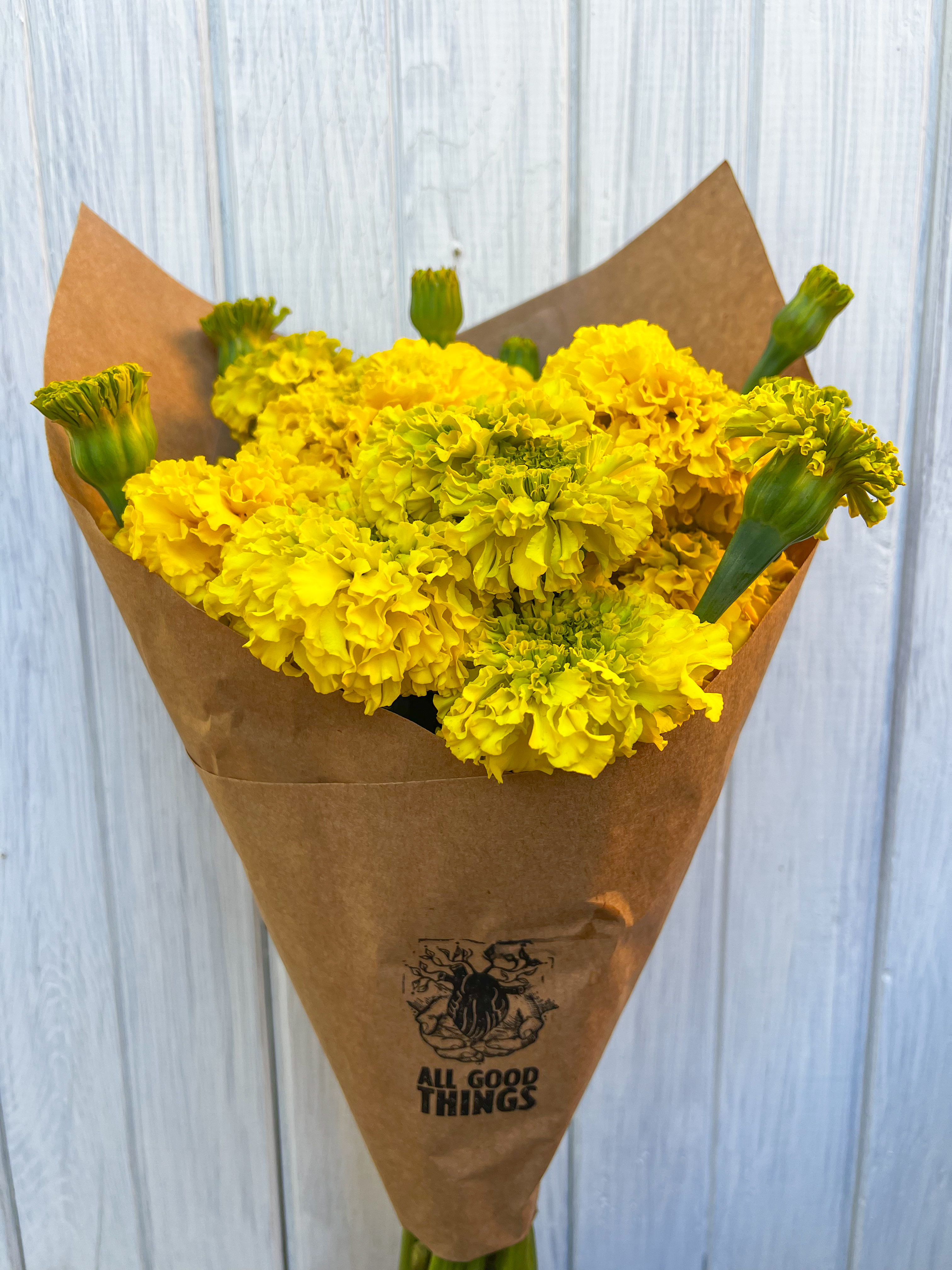 TAGETES erecta Giant Yellow