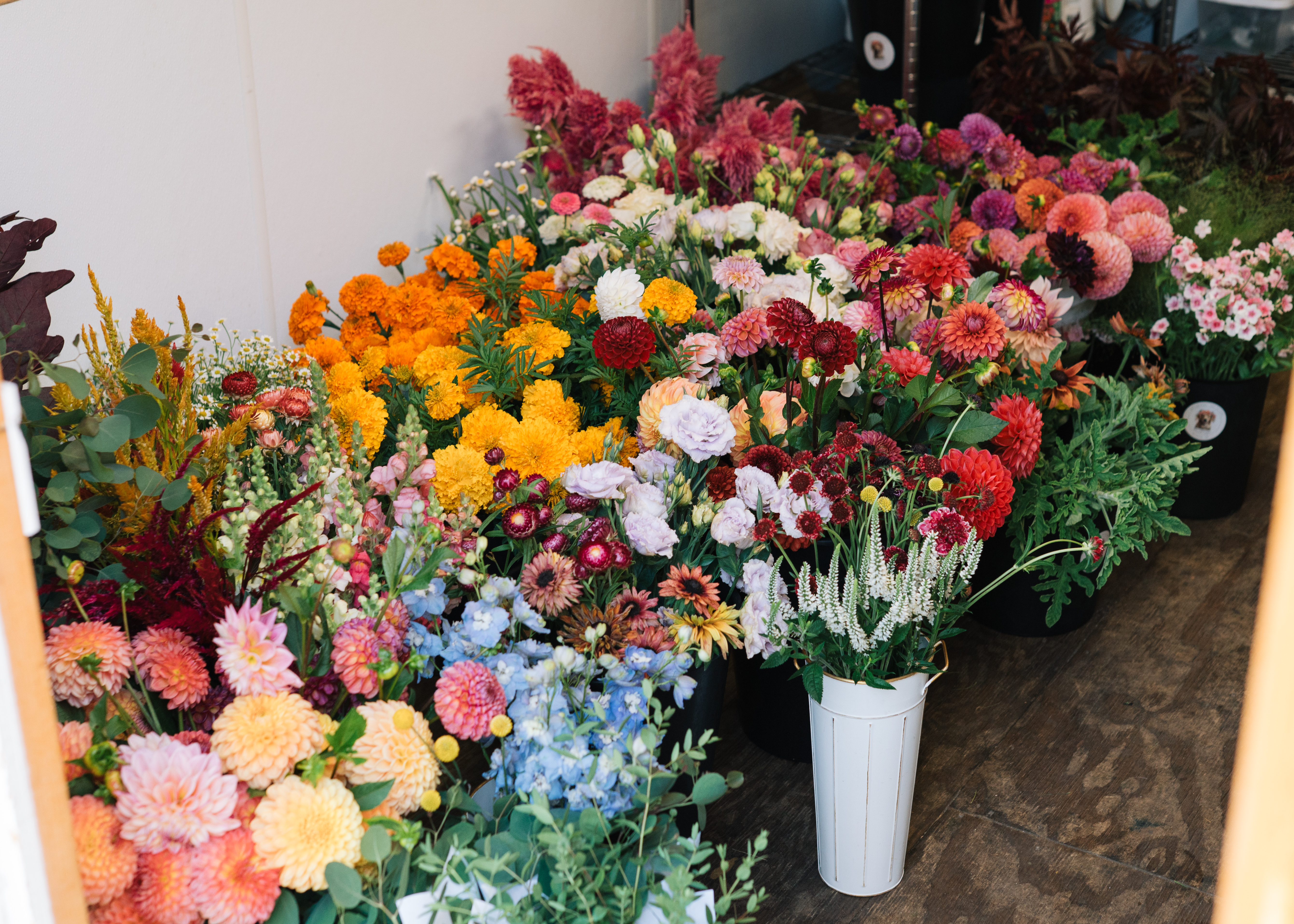 Blossom & Root Design Flower Farm Banner
