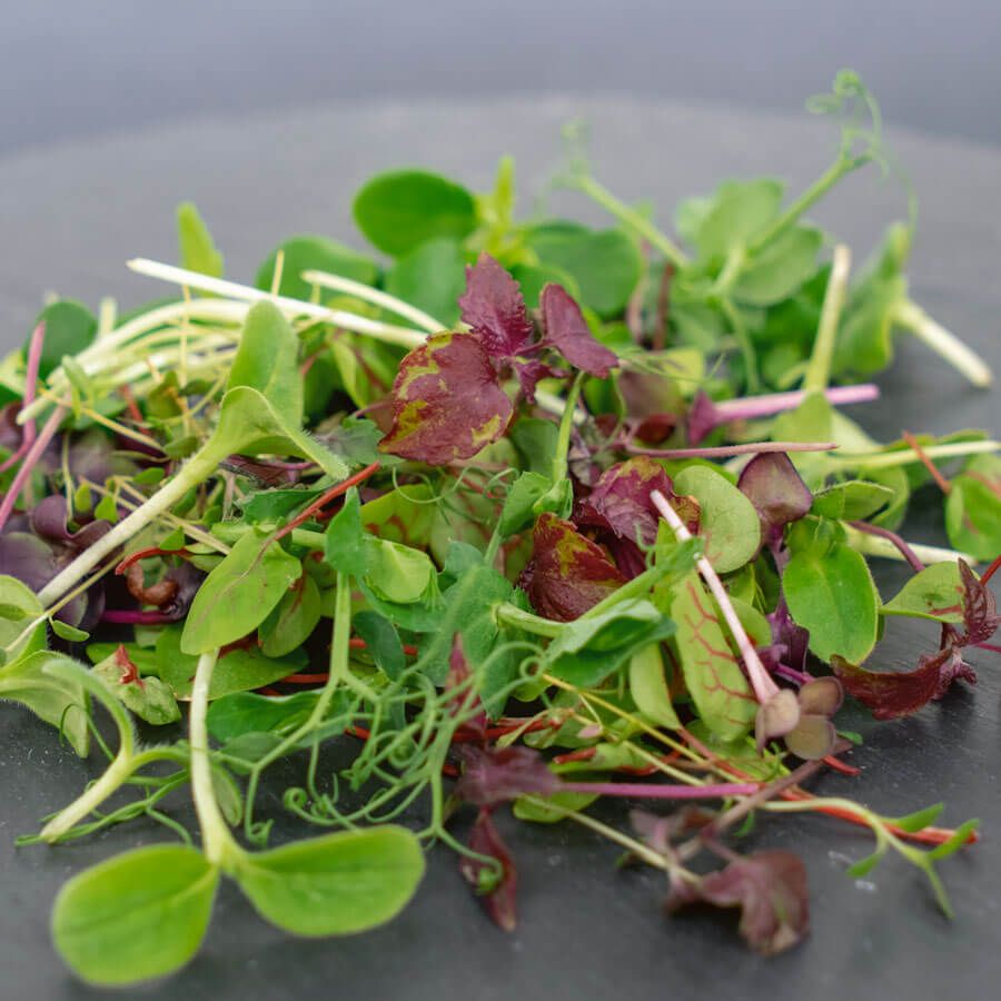 Greens: Microgreens
