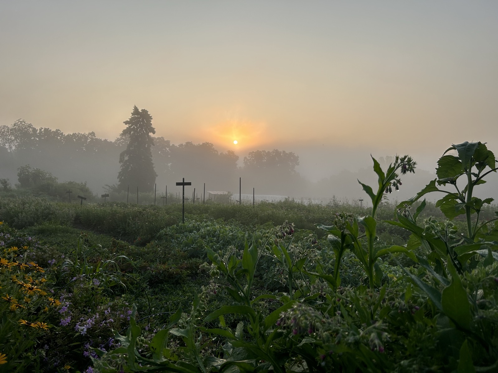 Weavers Way Farms Banner