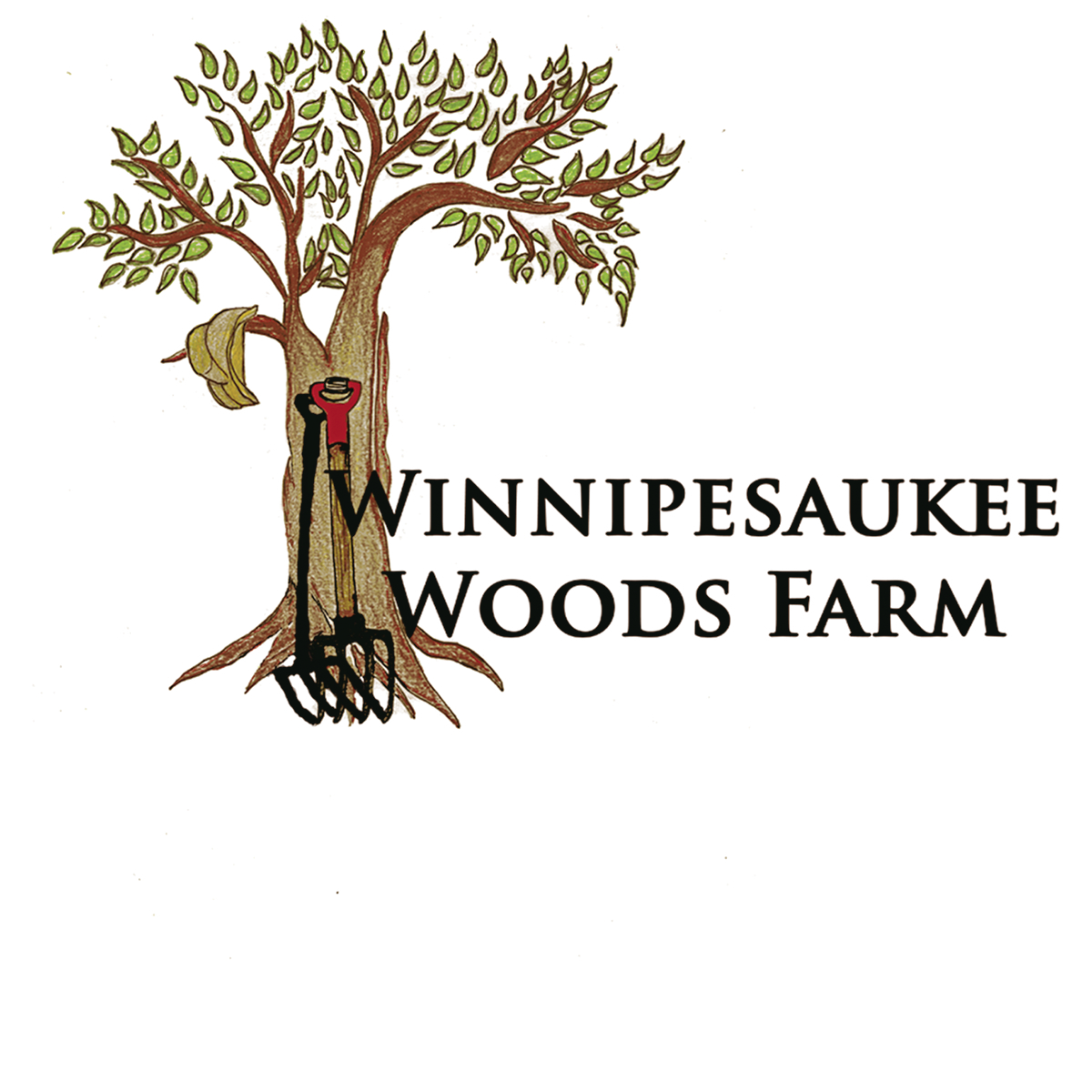Winnipesaukee Woods Farm (Winni Woods Farm) Logo