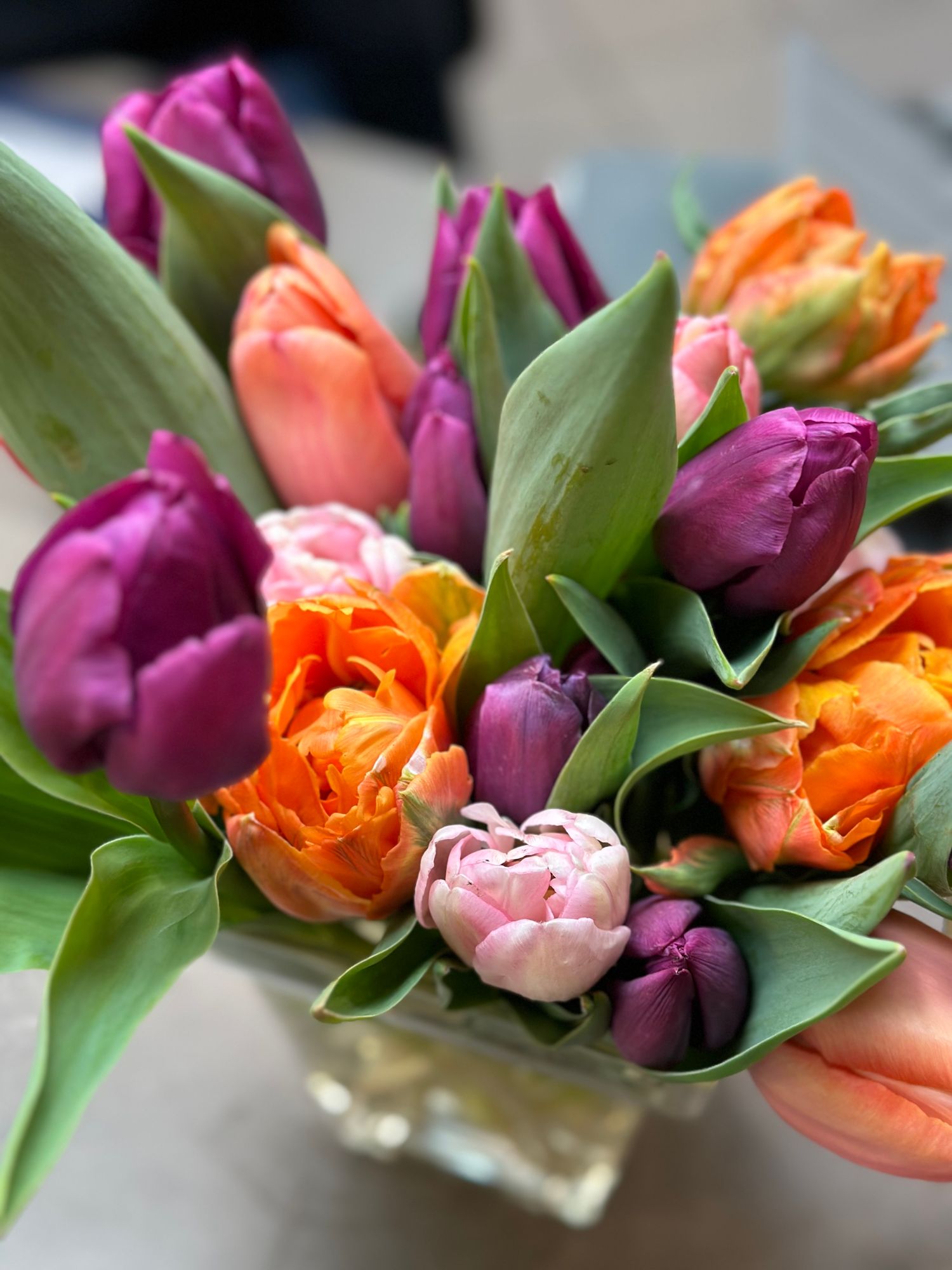 Mixed tulip bouquet