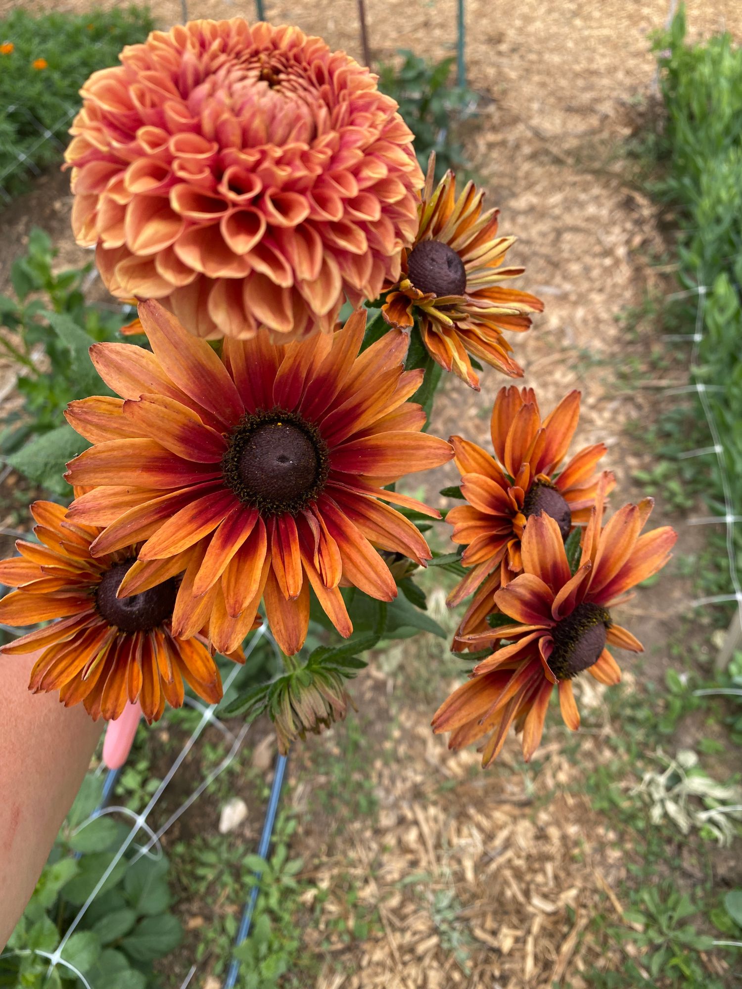 Bouquet Bar Bunch
