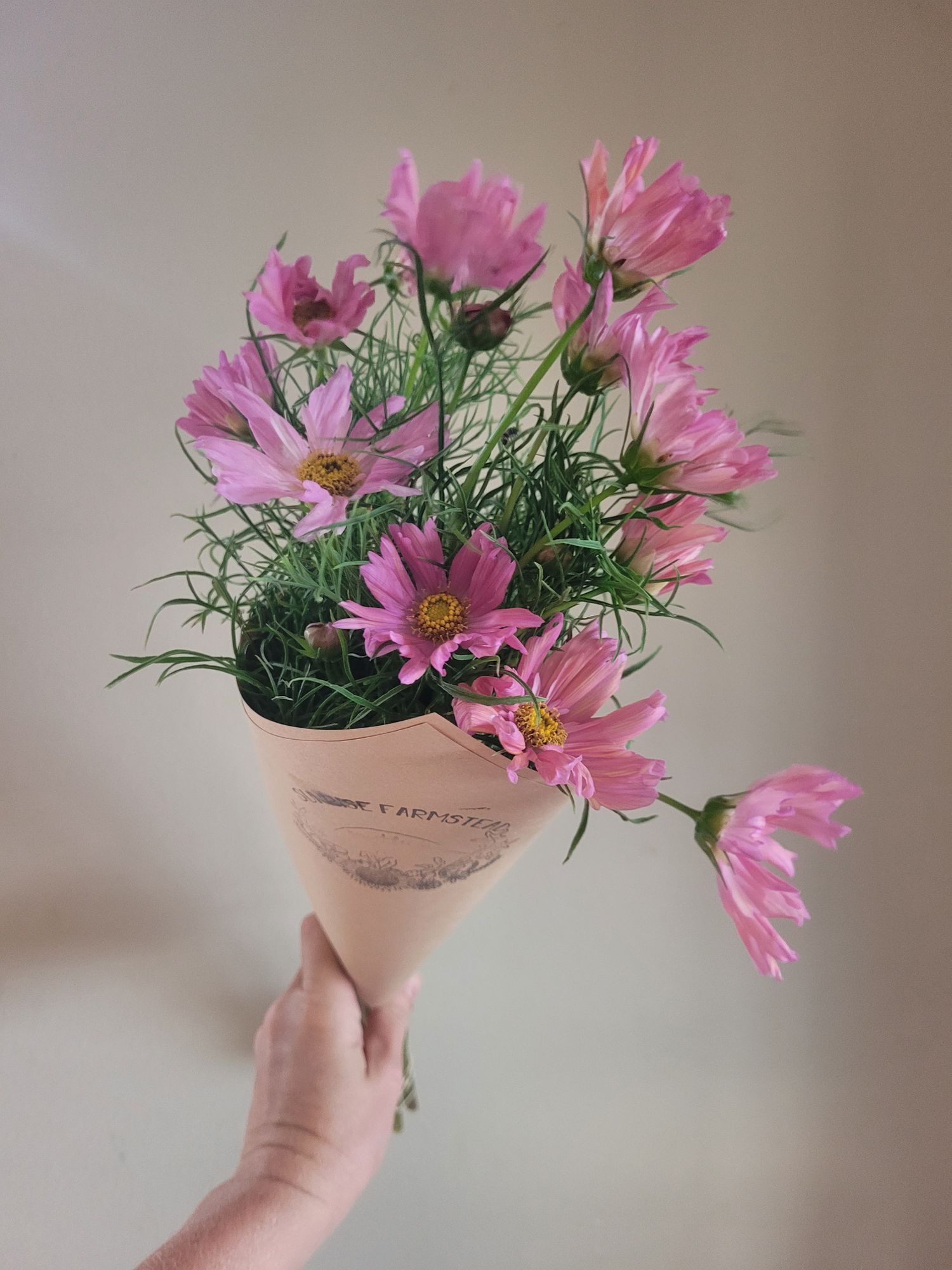 COSMOS