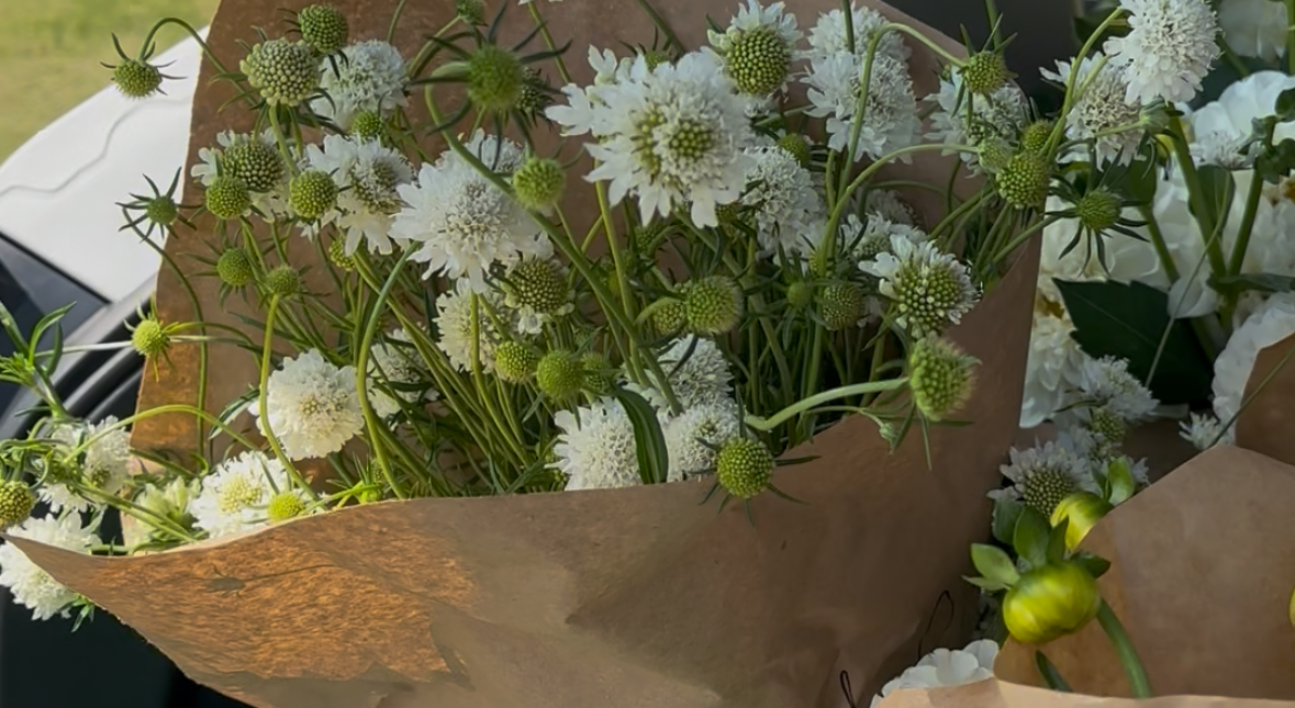 Hudson Valley Flower Collective Banner