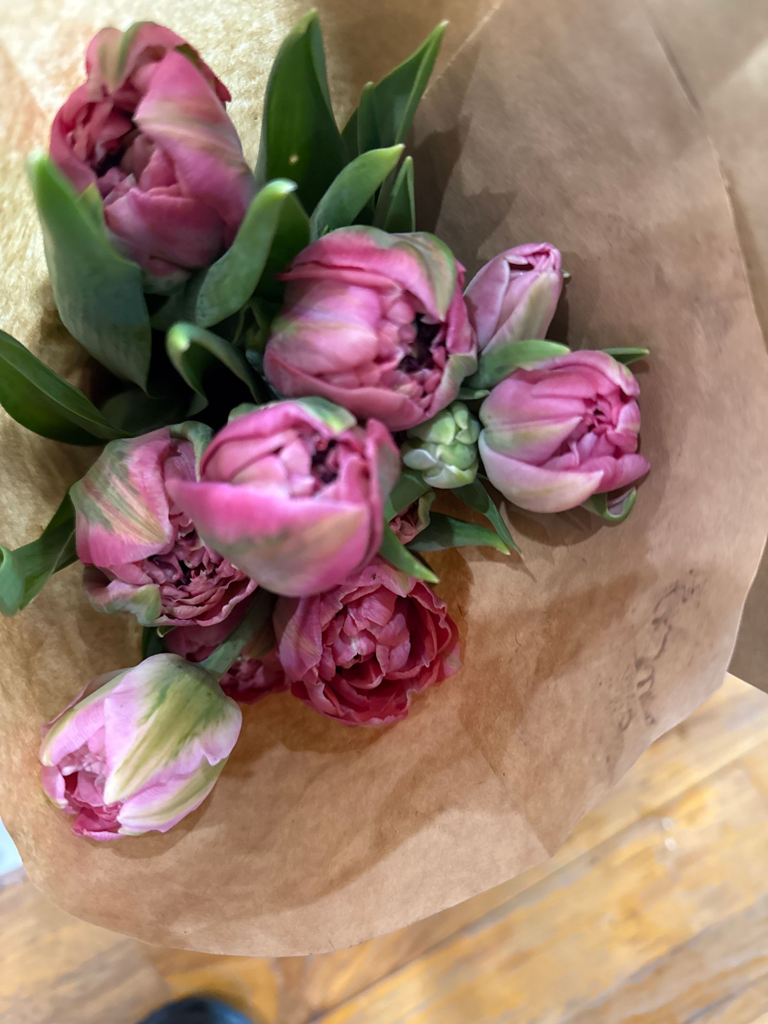 TULIPA