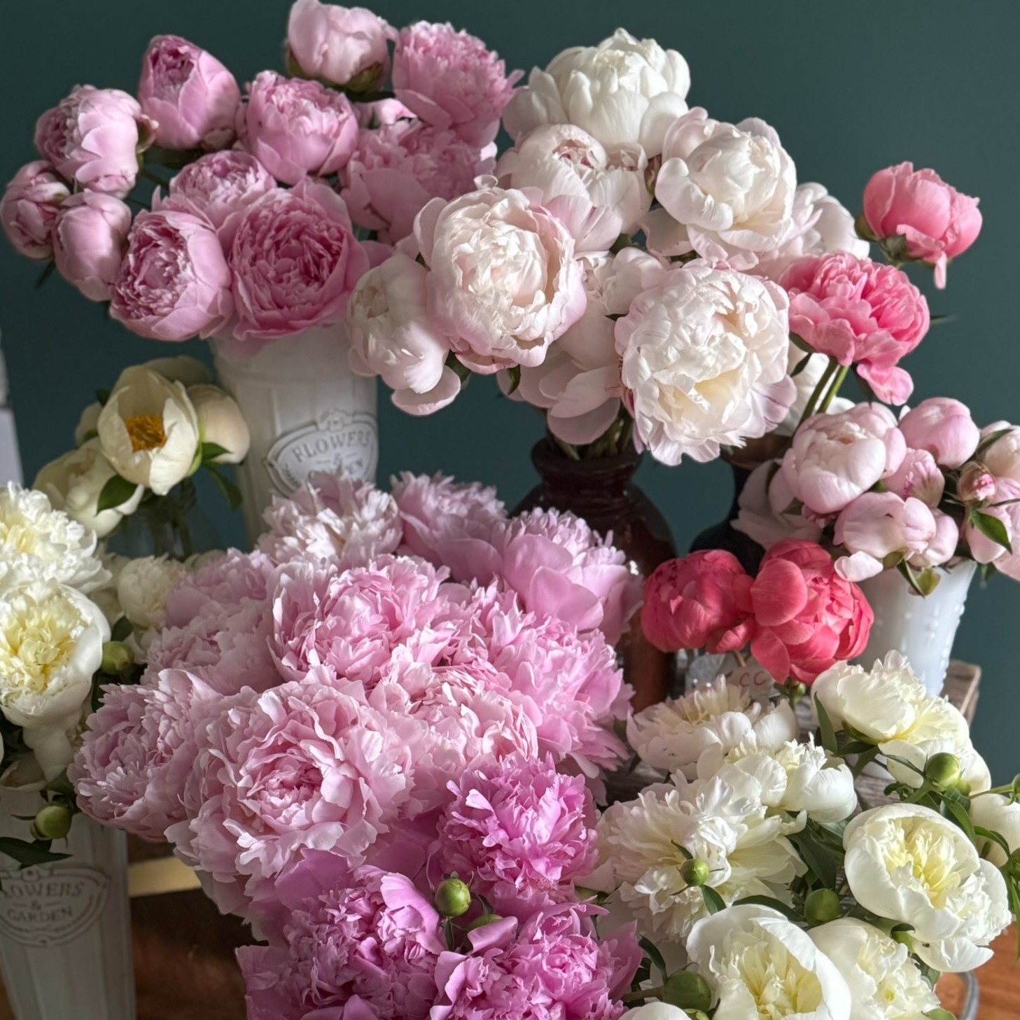 Iron Butterfly Flower Farm Banner