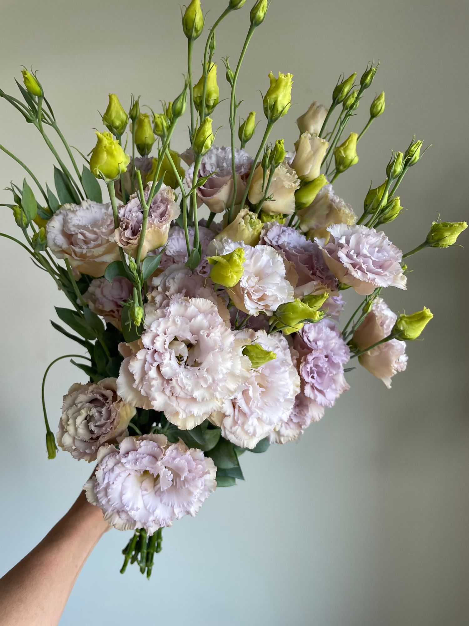EUSTOMA grandiflorum Blue Chateau