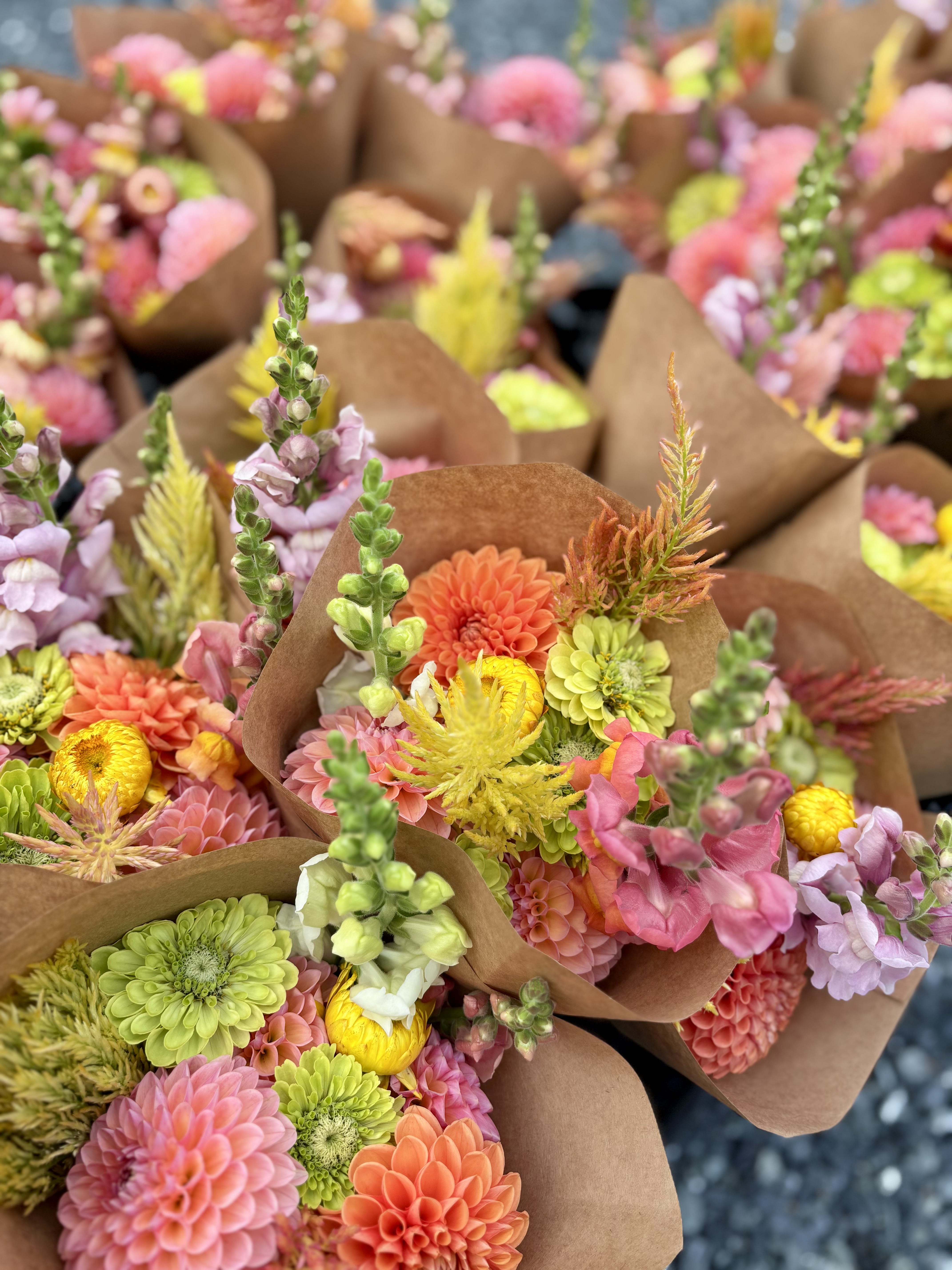 Growers choice bouquet