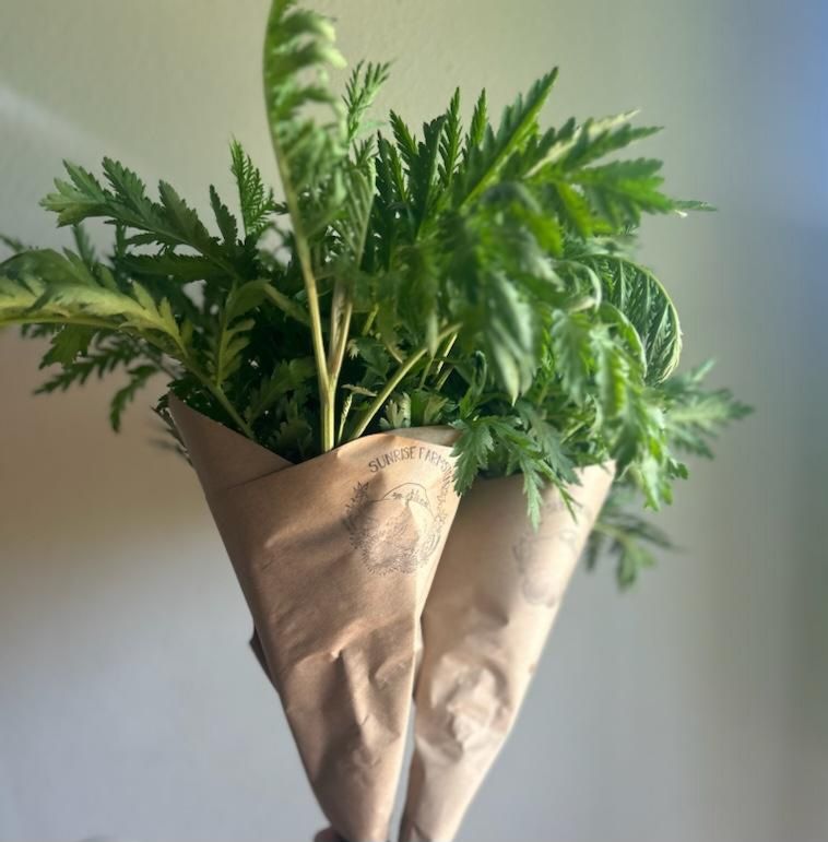 Bulk foliage