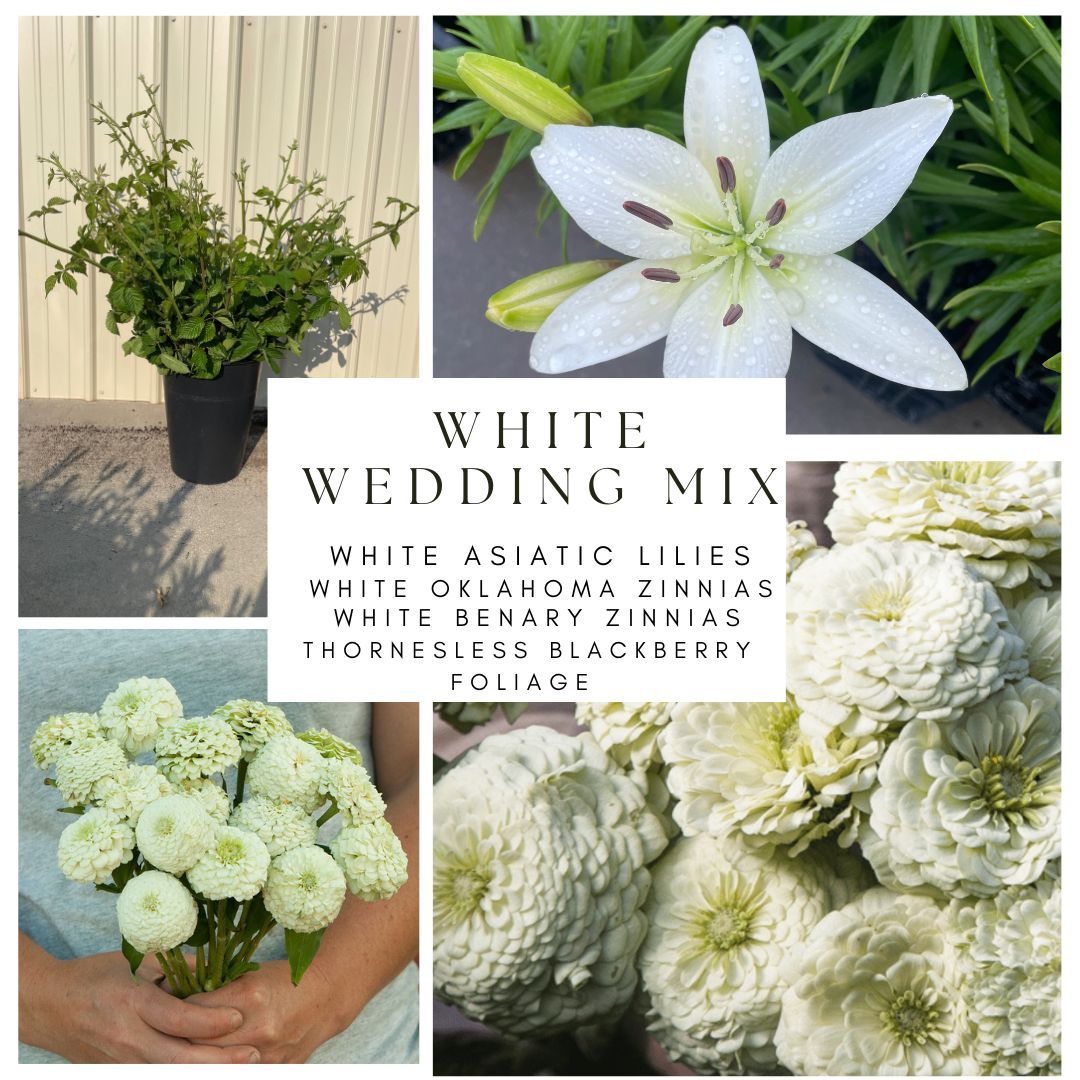 White Wedding Bucket