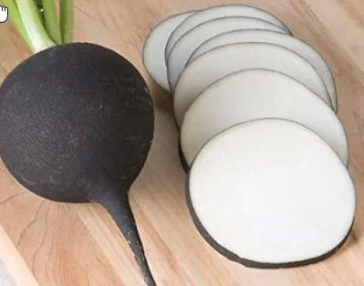 Root Vegetables: Radish, Spanish Black