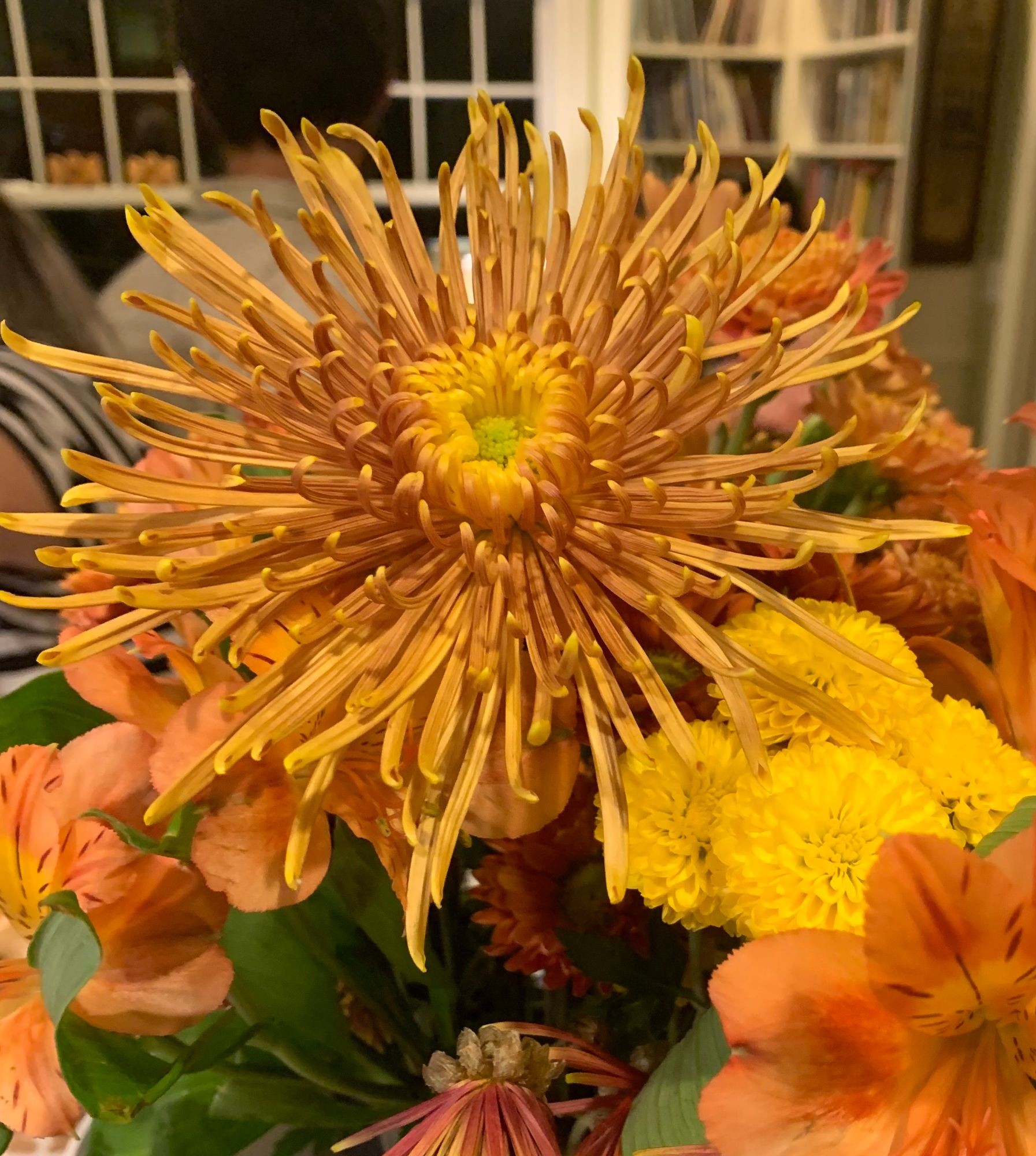 CHRYSANTHEMUM