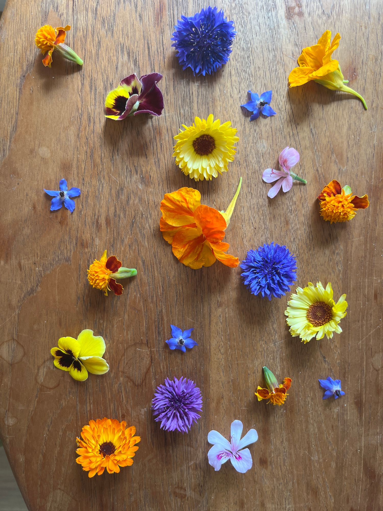 Grower’s Choice Edible Flowers