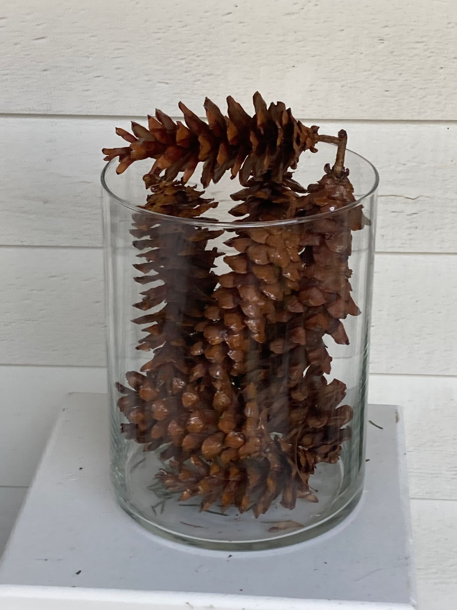 Pinecones