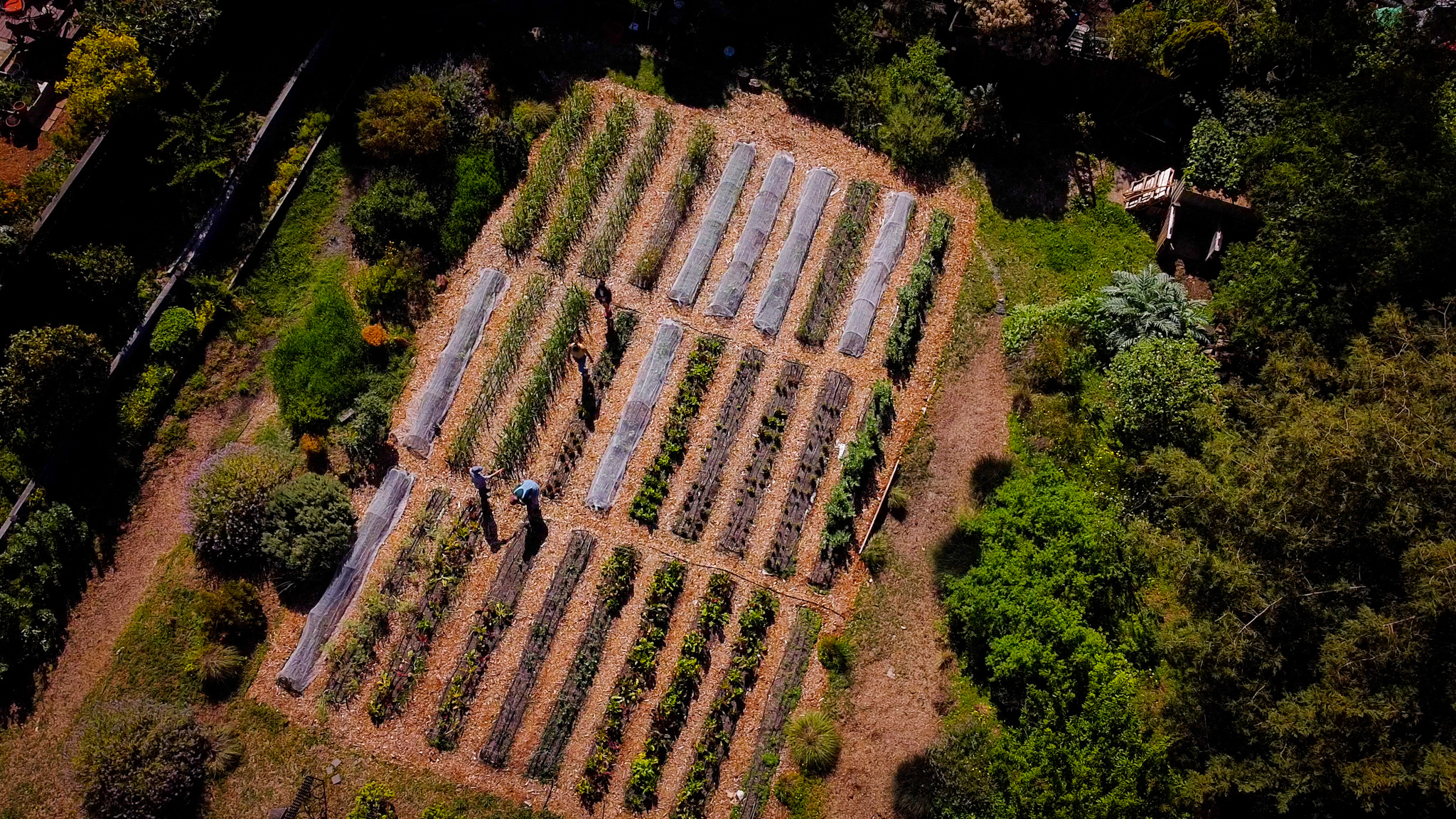 Pollinate Farm  Banner