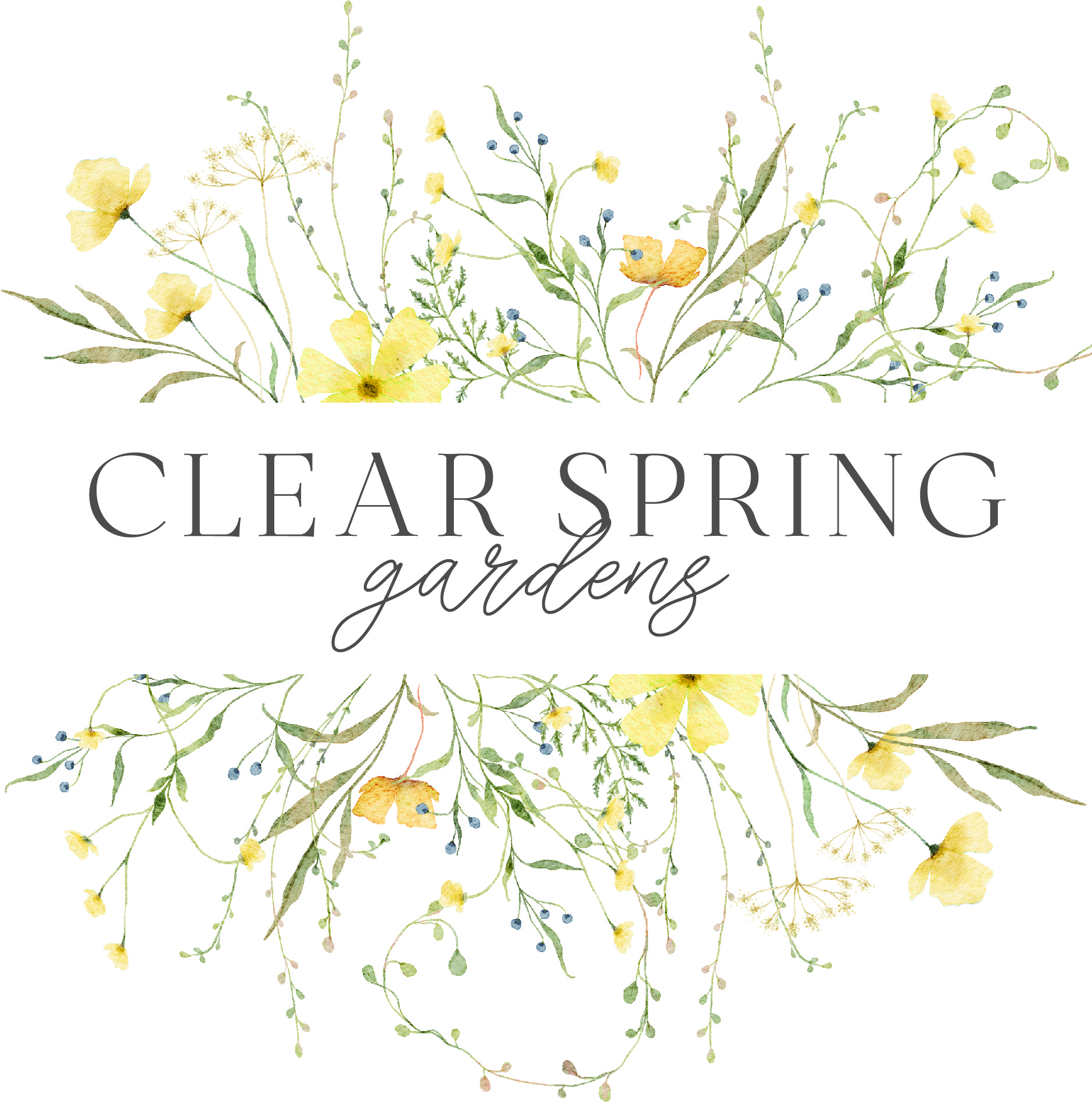 Clear Spring Gardens Logo