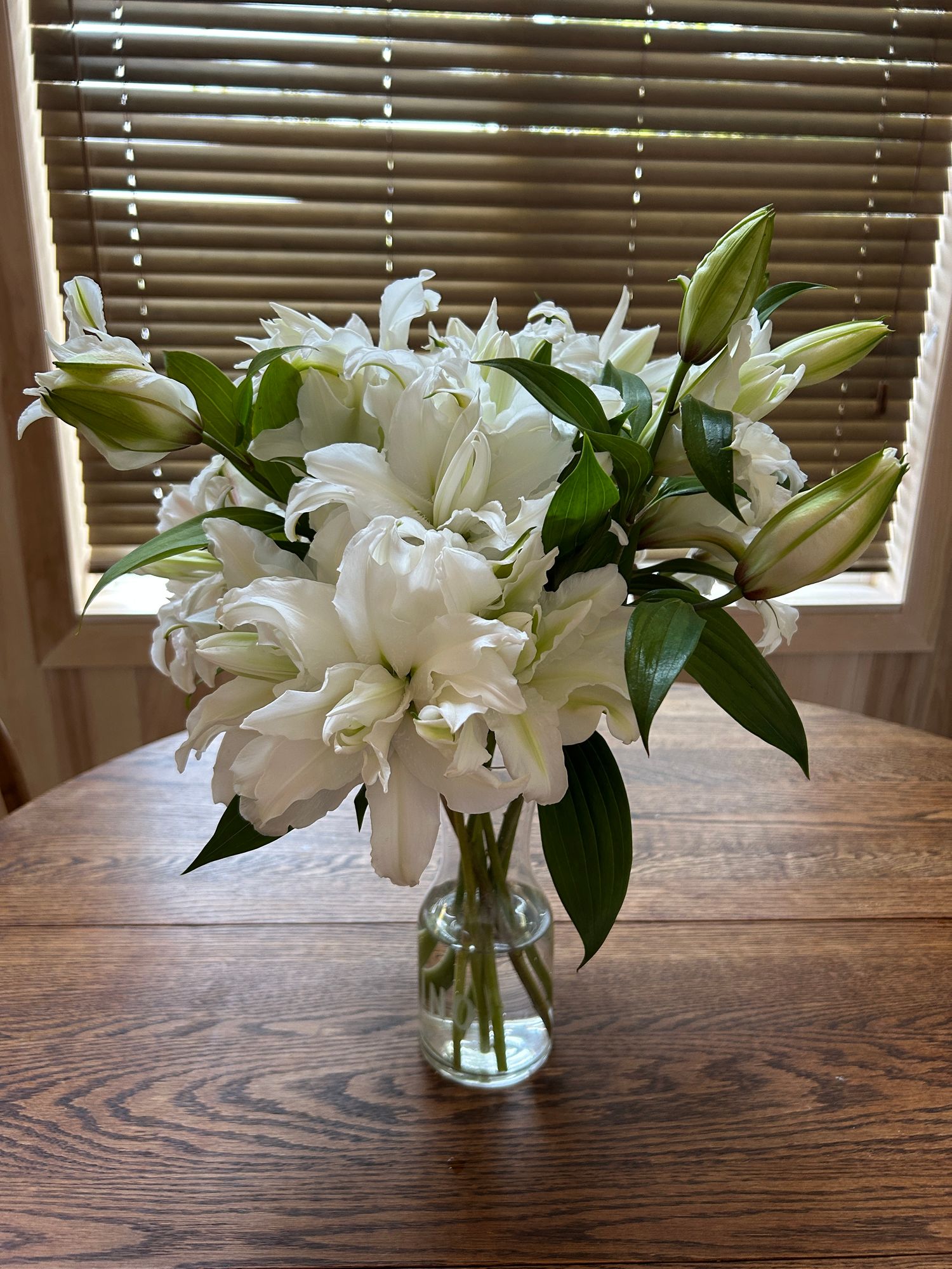 LILIUM x orientalis Ramona