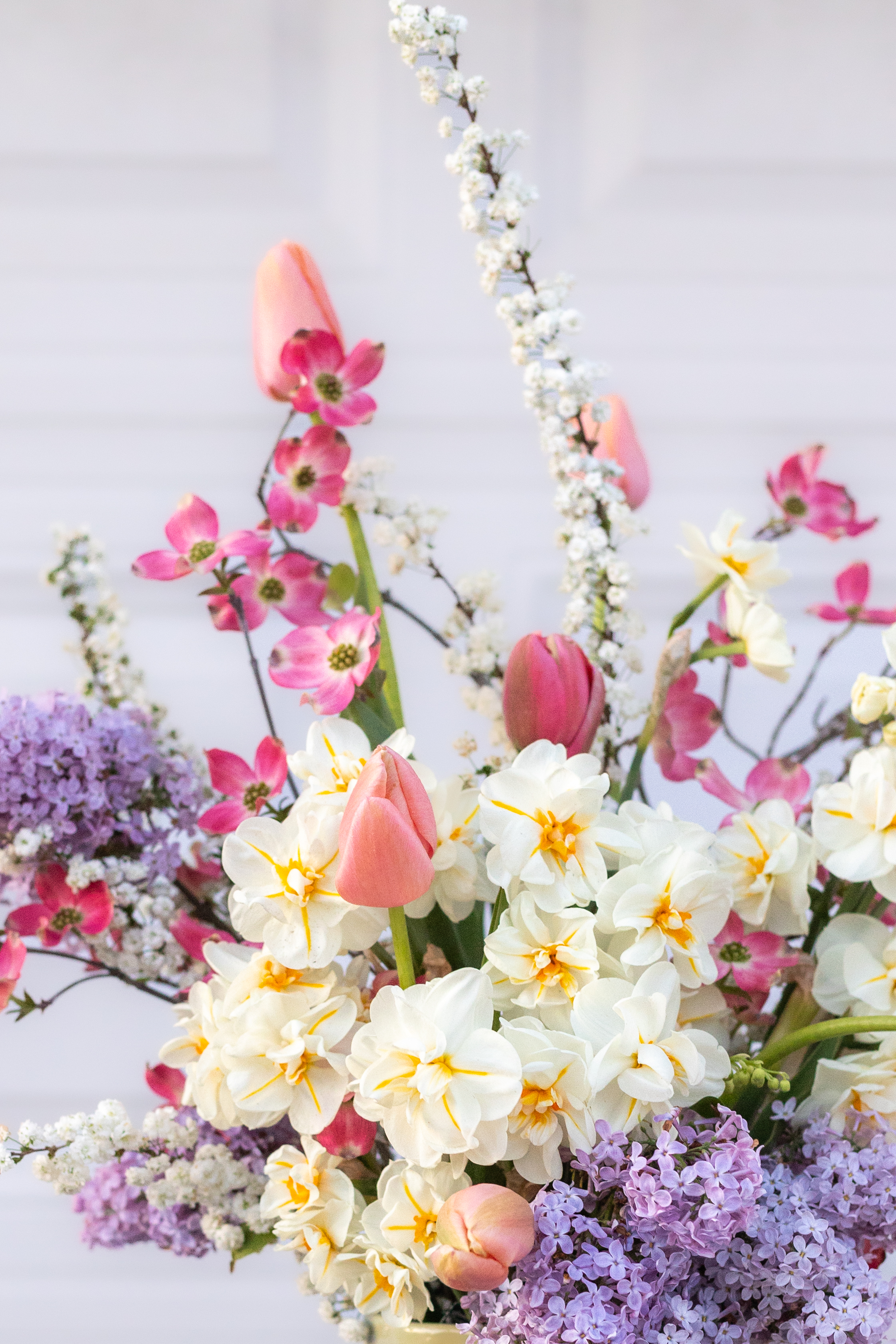 Louloudi Fields Banner