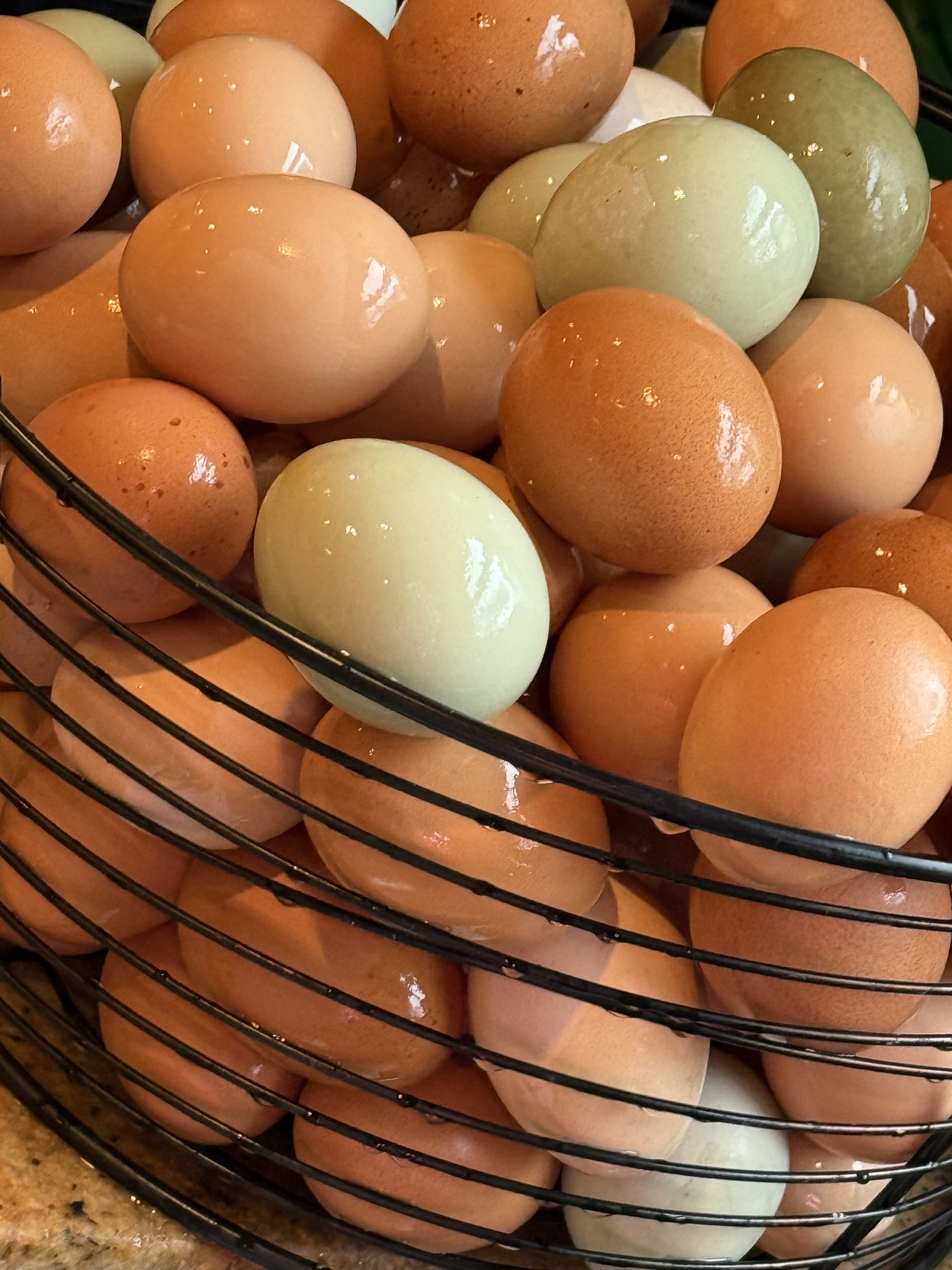 Chicken Eggs